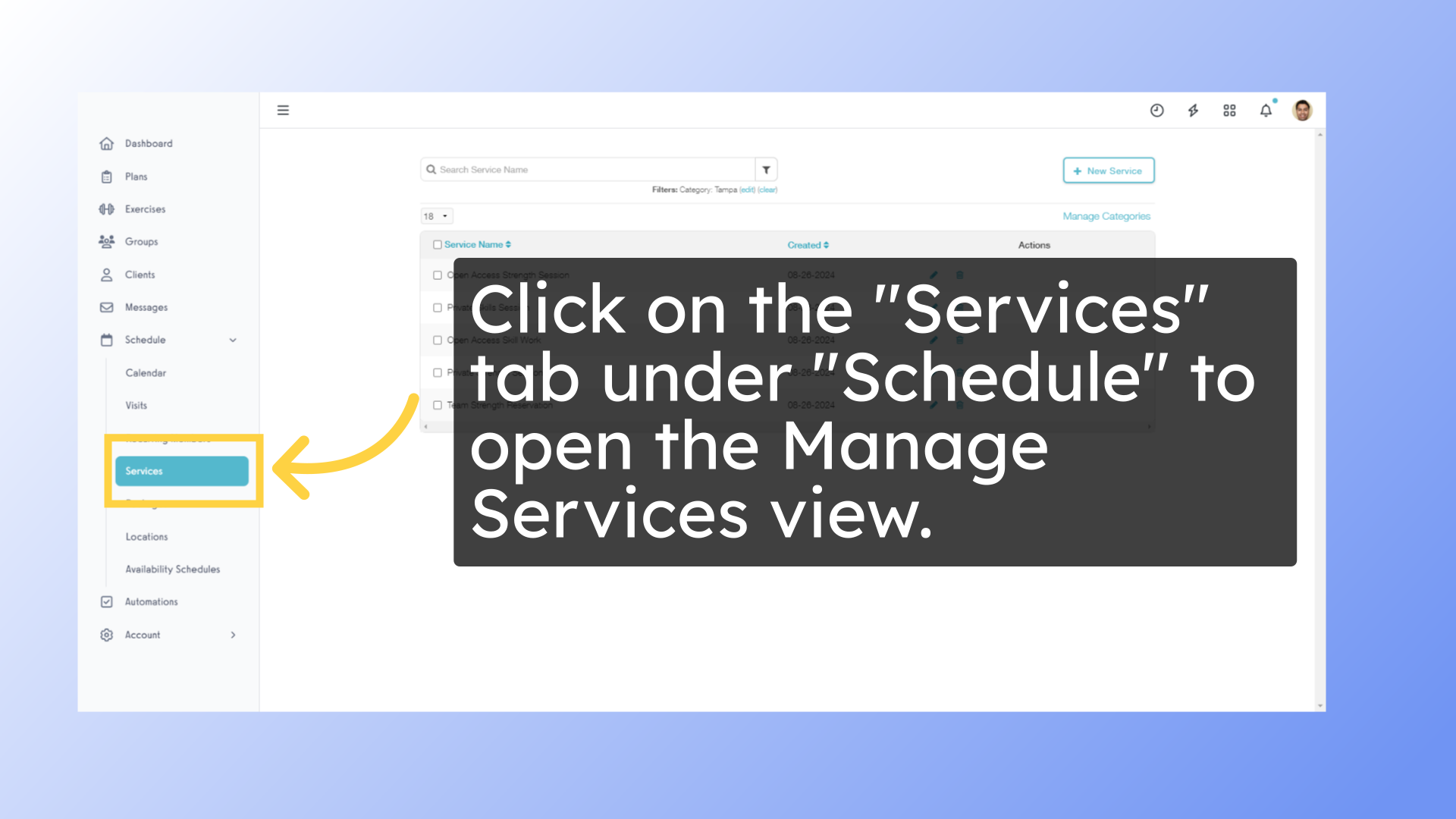 Click on the 'Services' tab under 'Schedule' to open the Manage Services view.