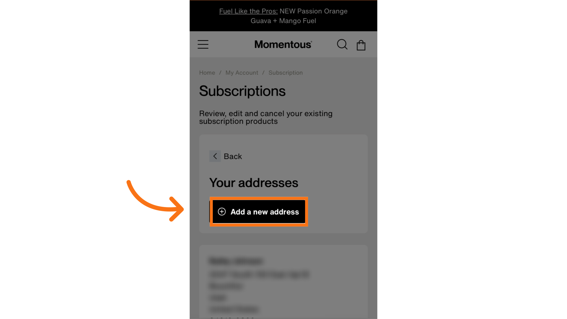 Select 'add a new address'