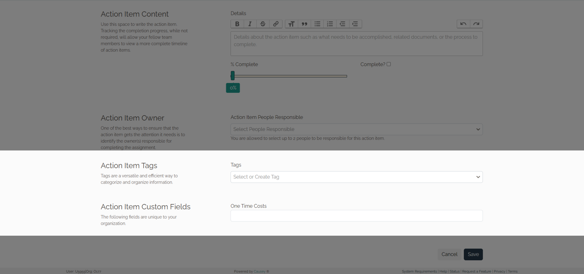 Action Item Tag and Custom Fields