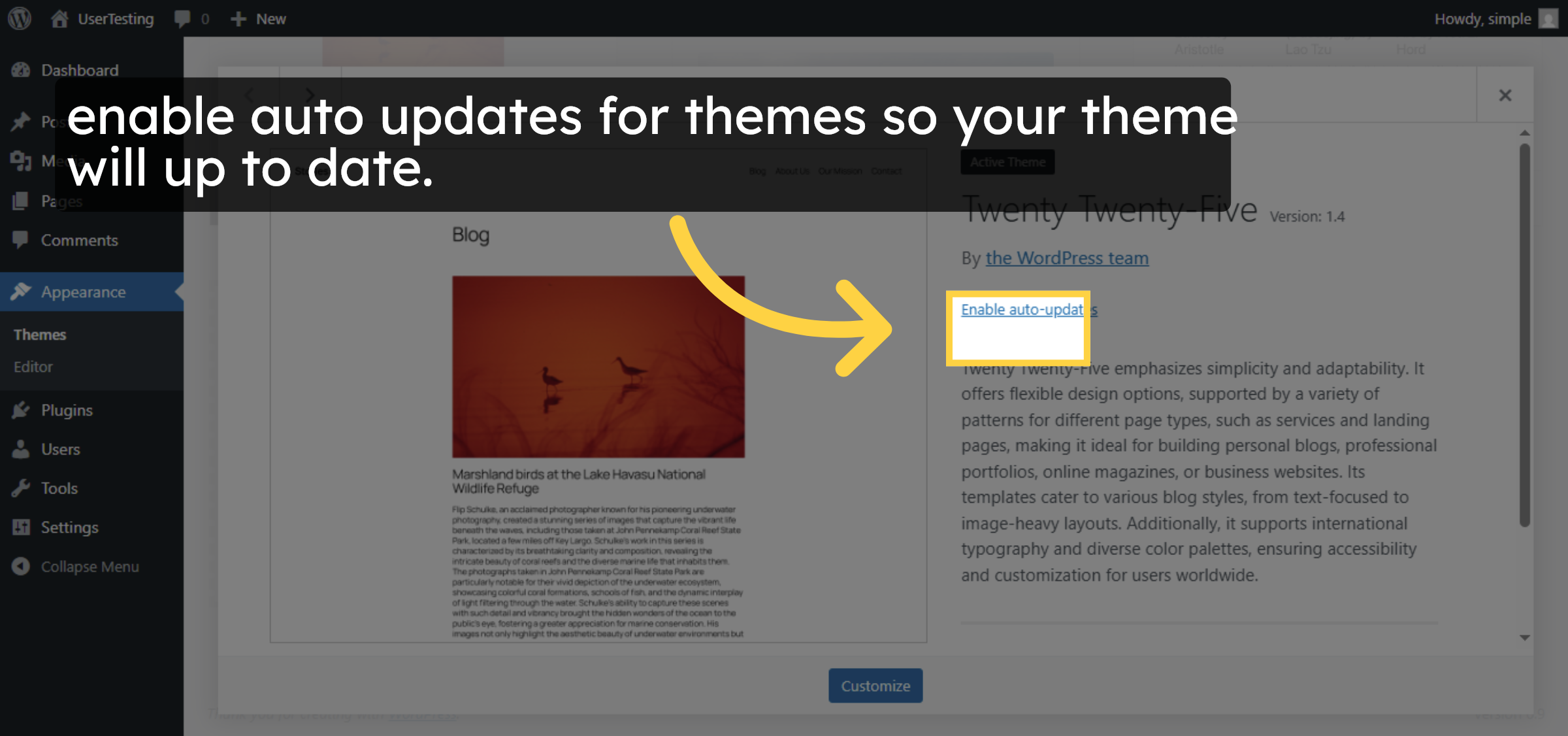 Access Active Theme Options