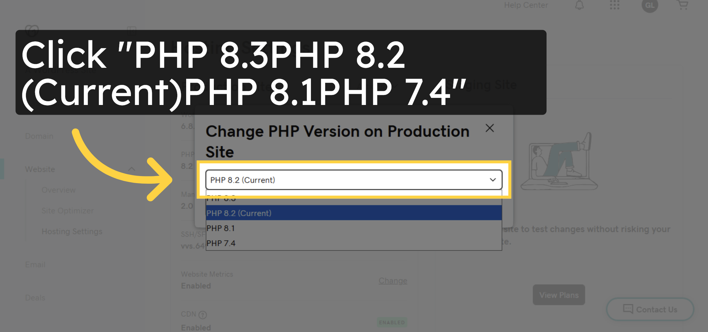 View PHP Version Options