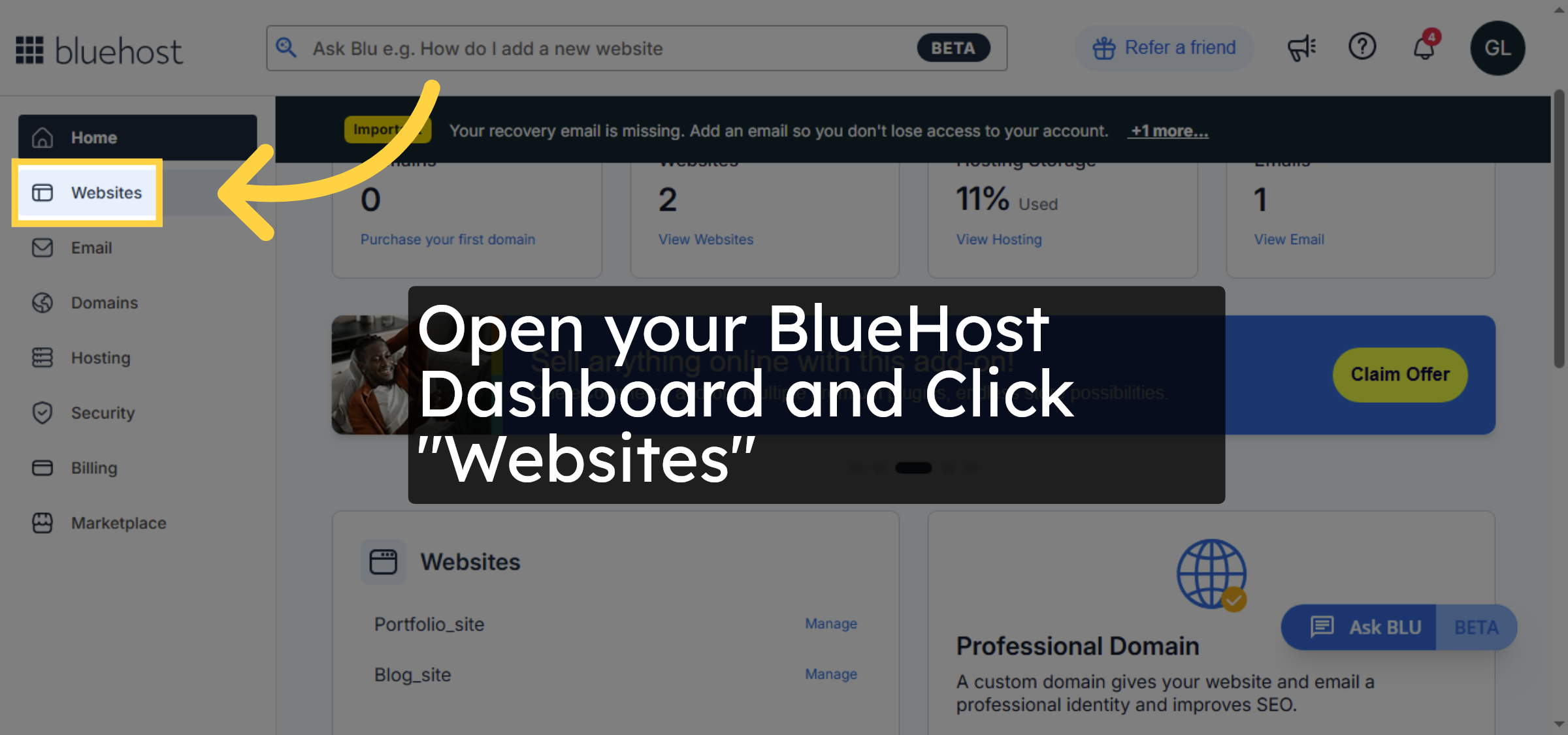 Navigate to Websites Section