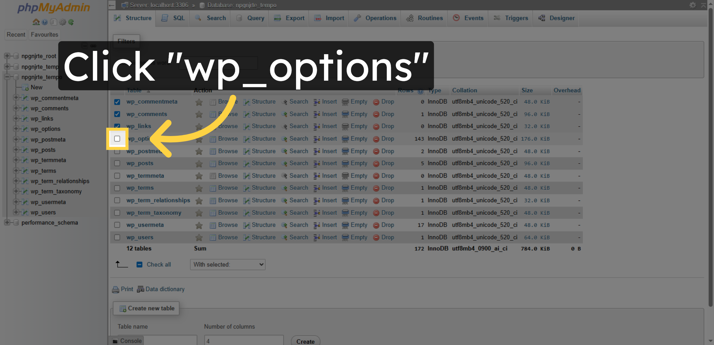 Select wp_options Table