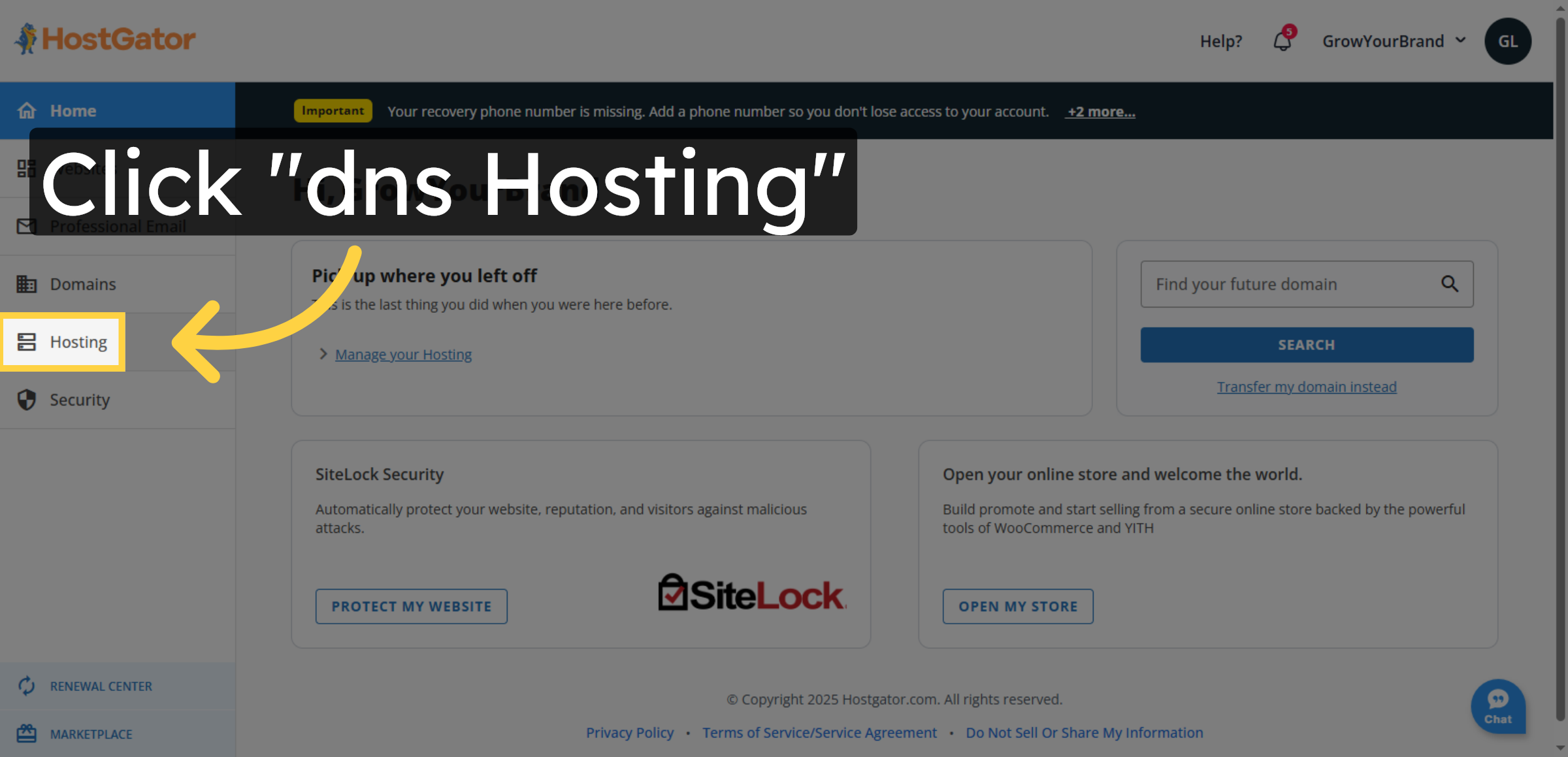 Access DNS Hosting