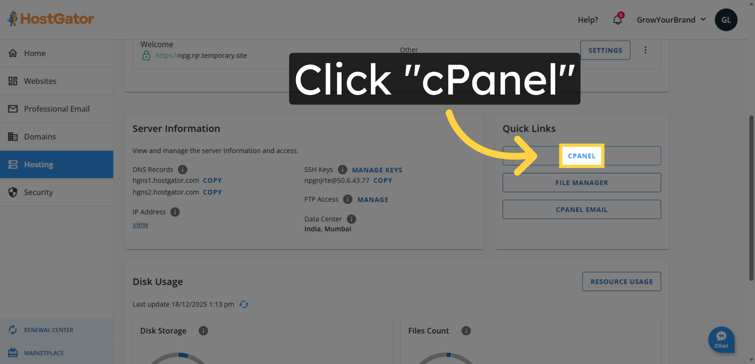 Open cPanel Interface