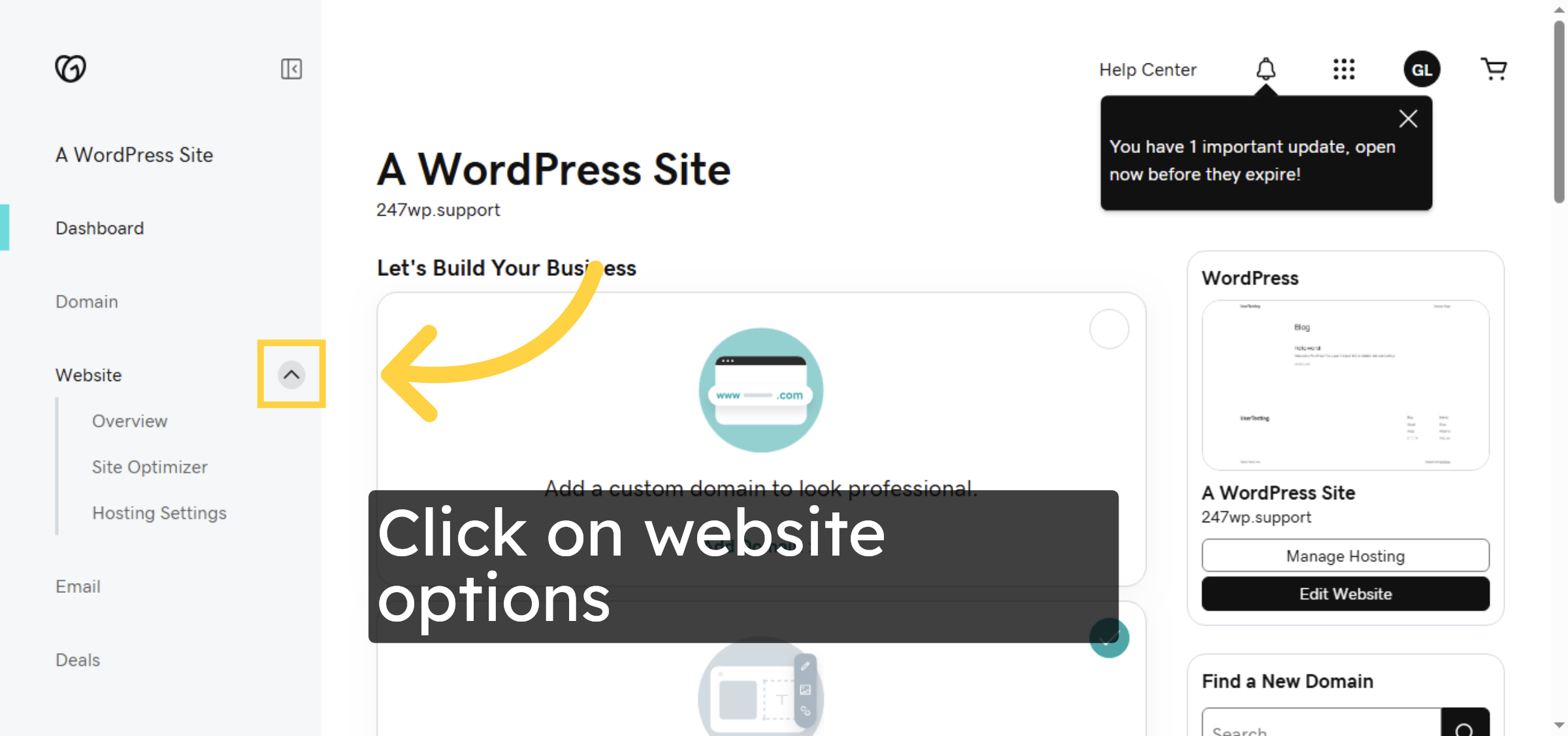 Access Hosting Options
