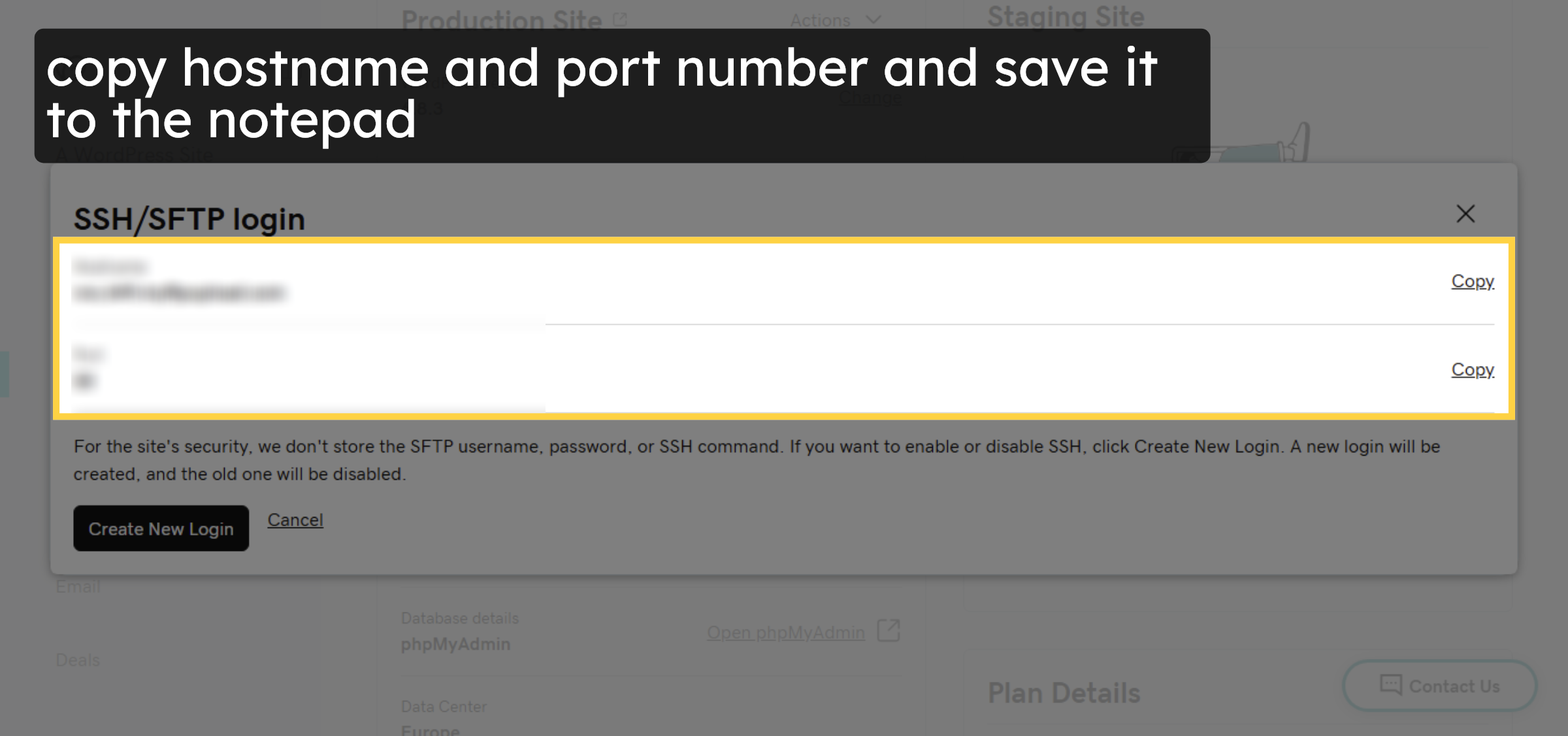 Copy FTP Hostname and port