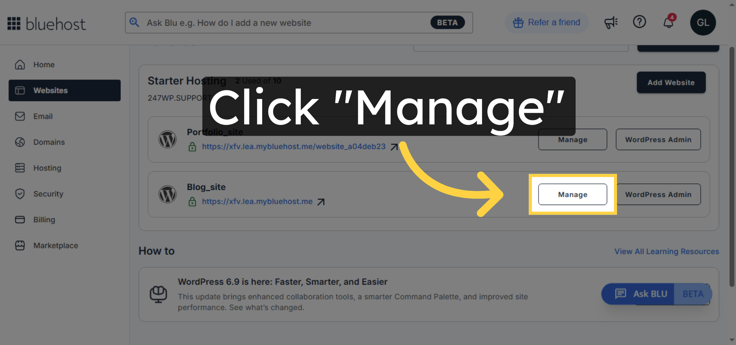 Click Manage Website