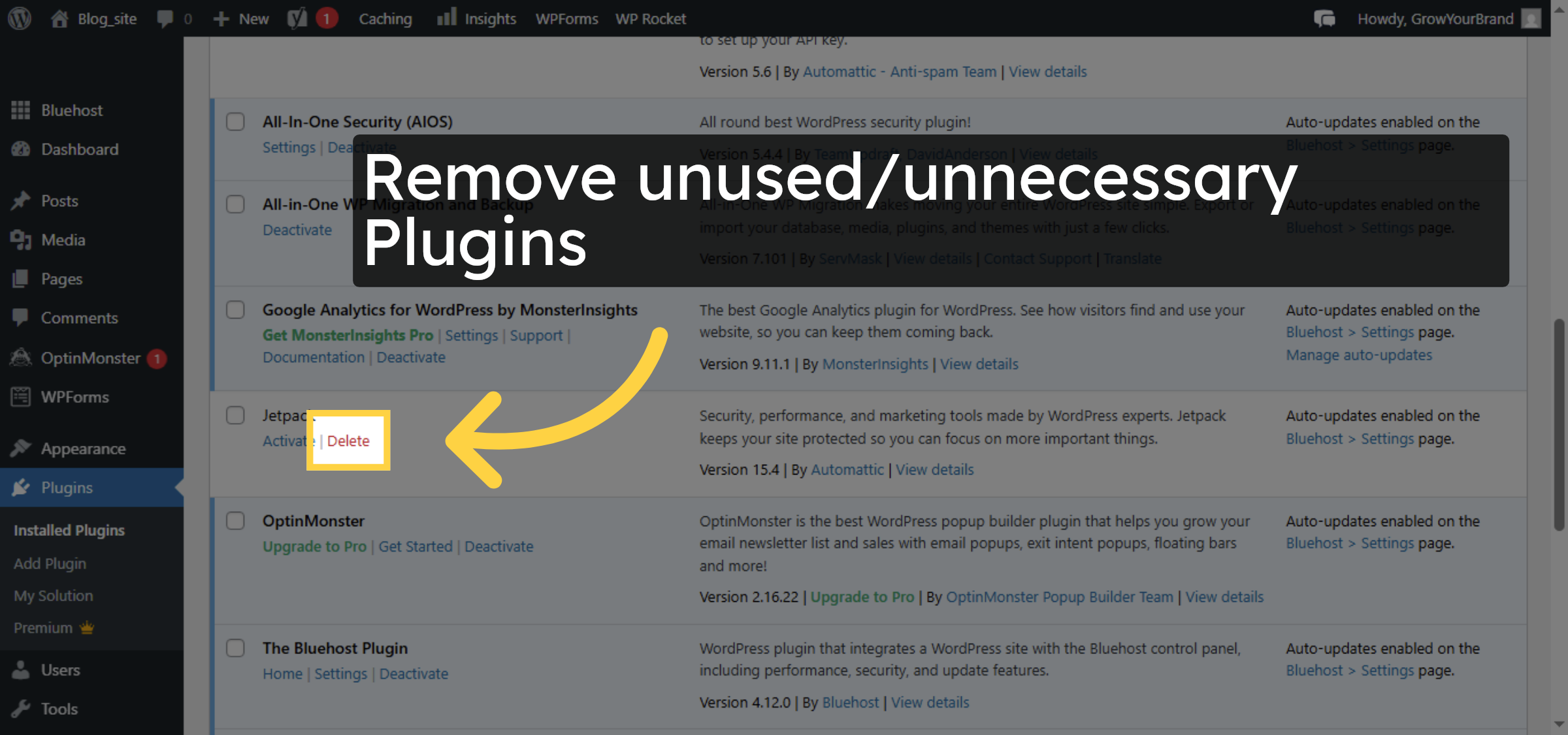 Delete Problematic Plugin