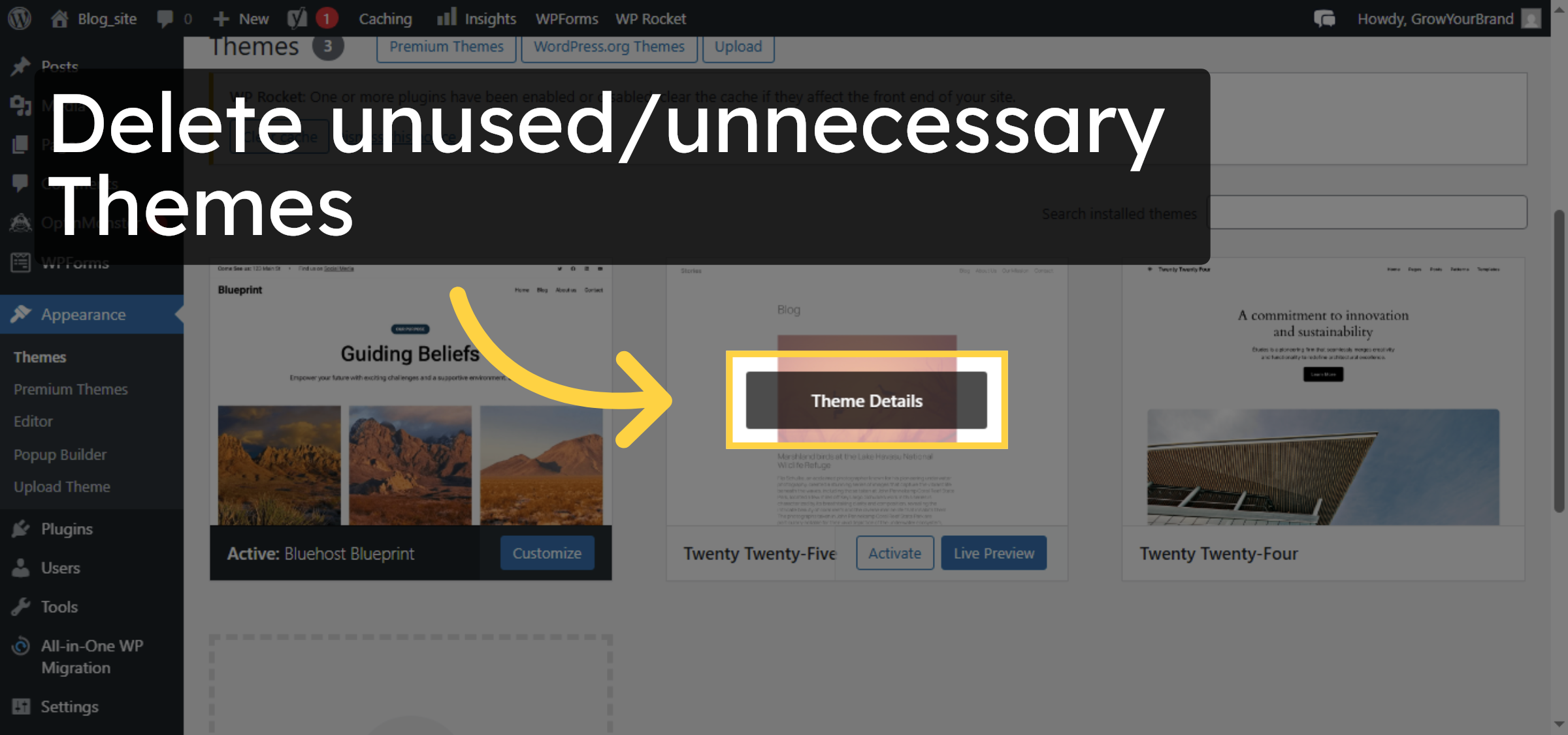Delete Unused Themes