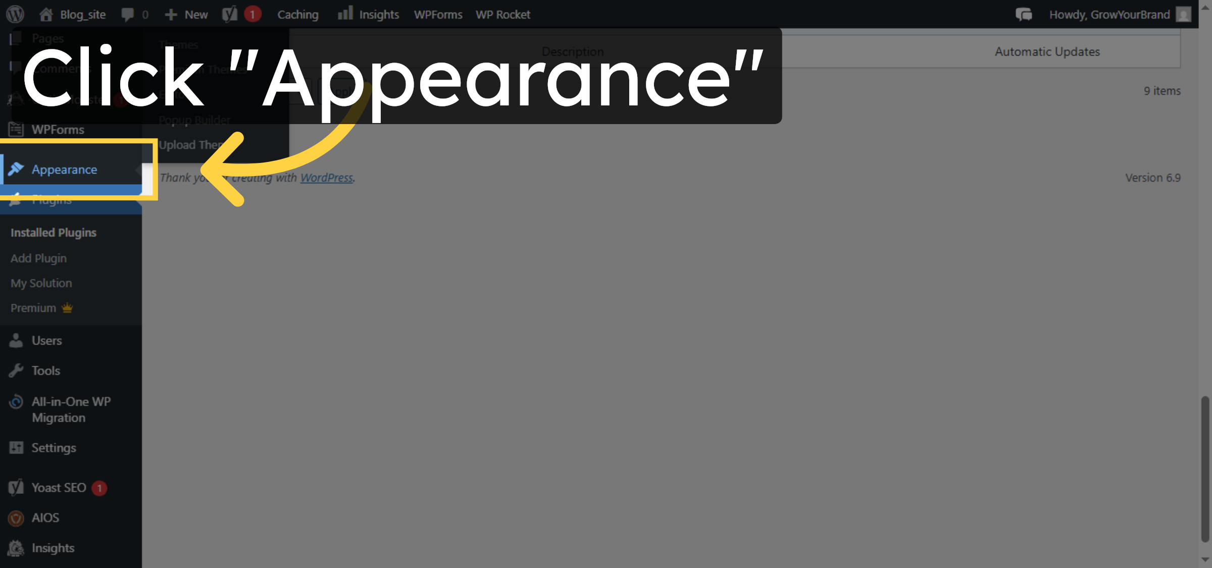 Access Appearance Settings