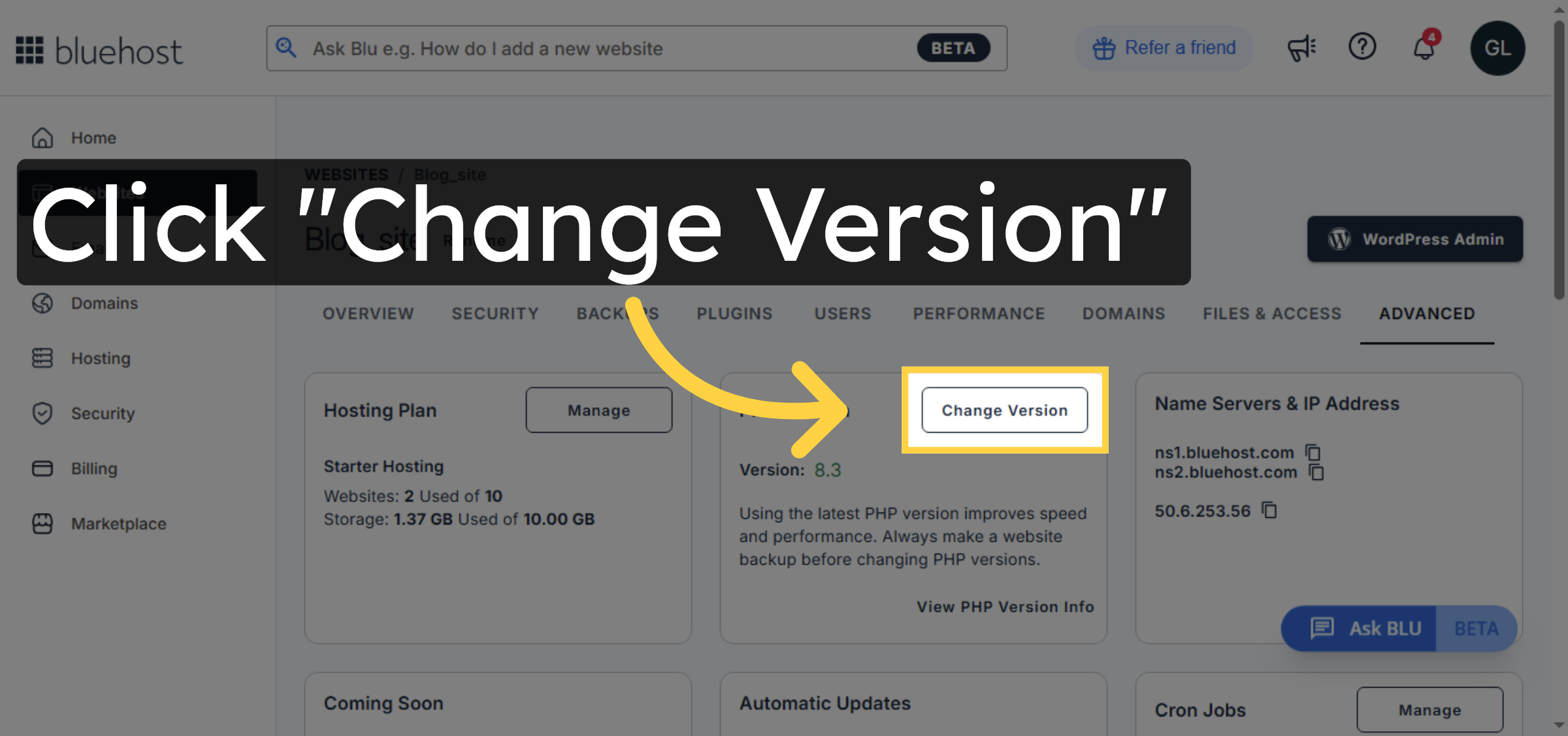 Select Change PHP Version