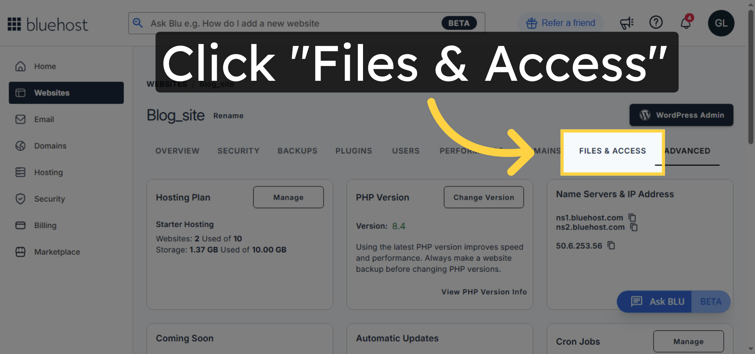 Access Files & Access Section
