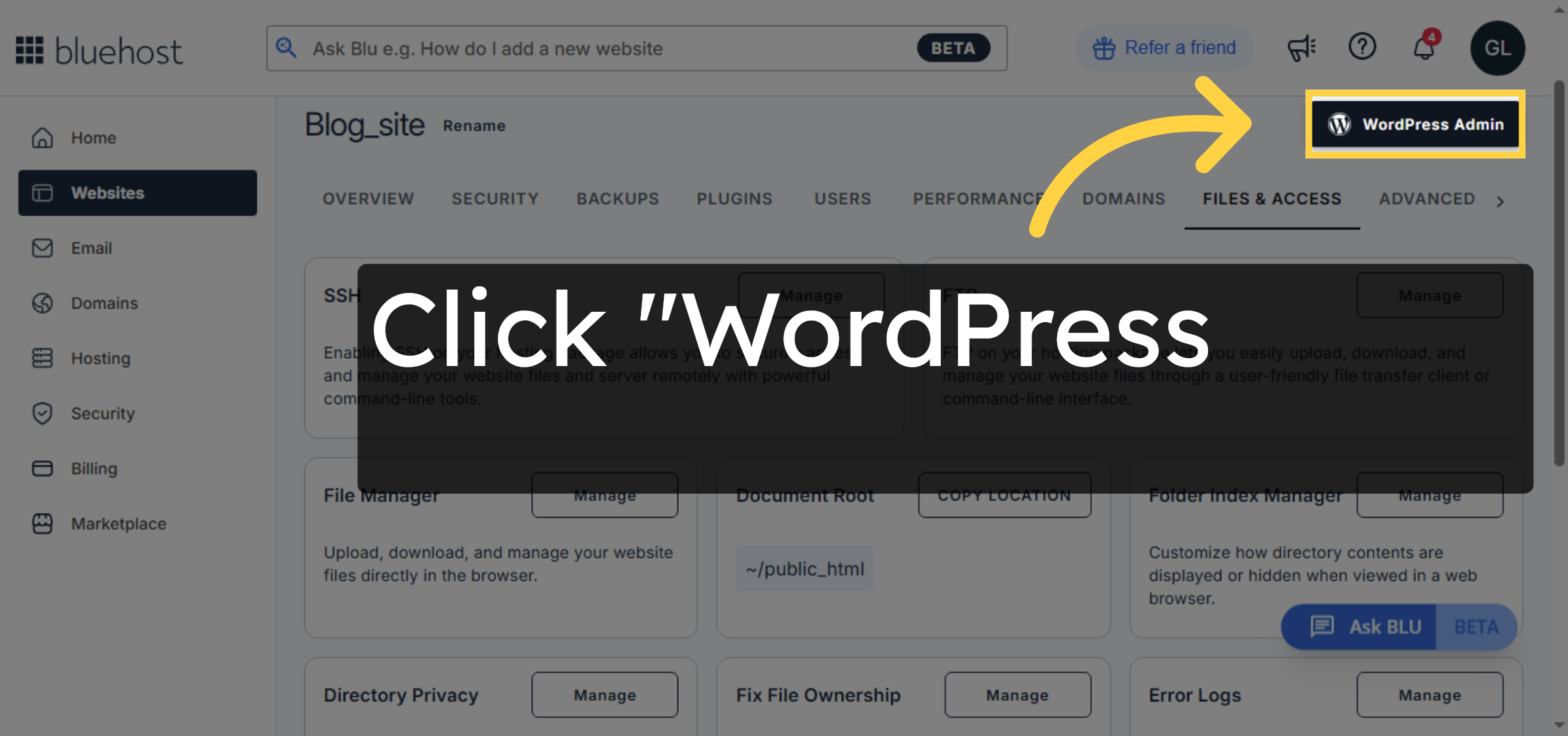 Open WordPress Admin
