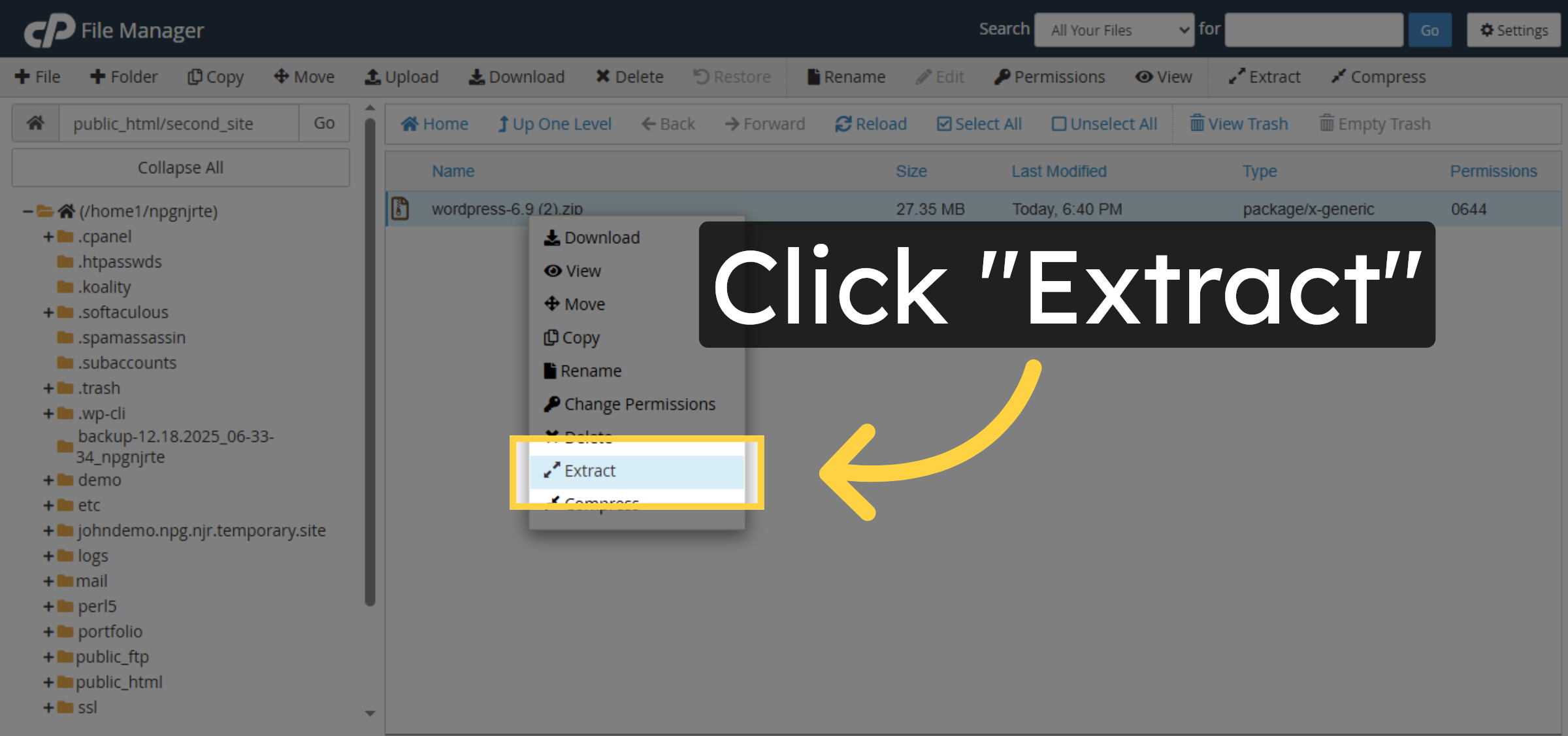 Extract WordPress Files