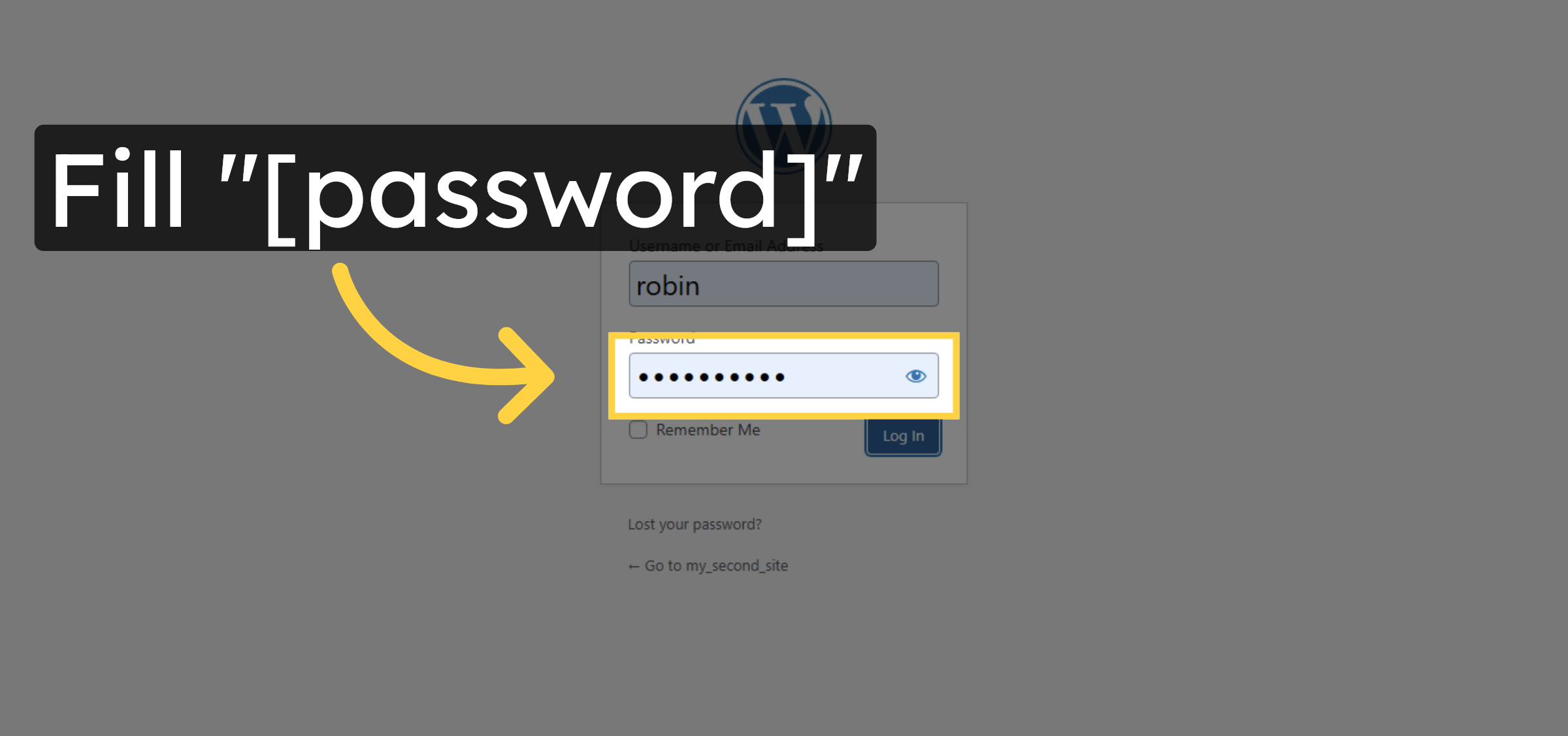 Enter Login Password