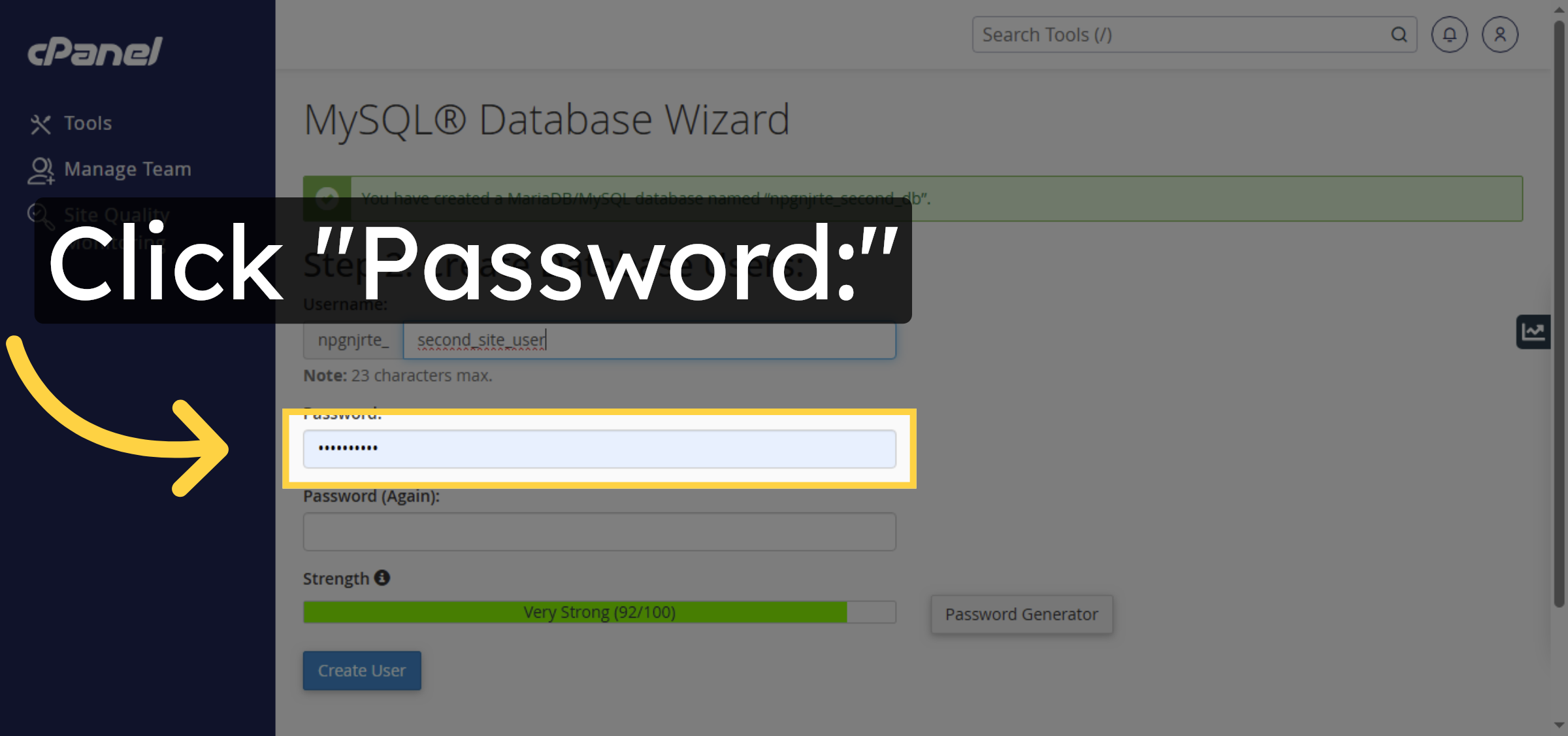 Select Password Field