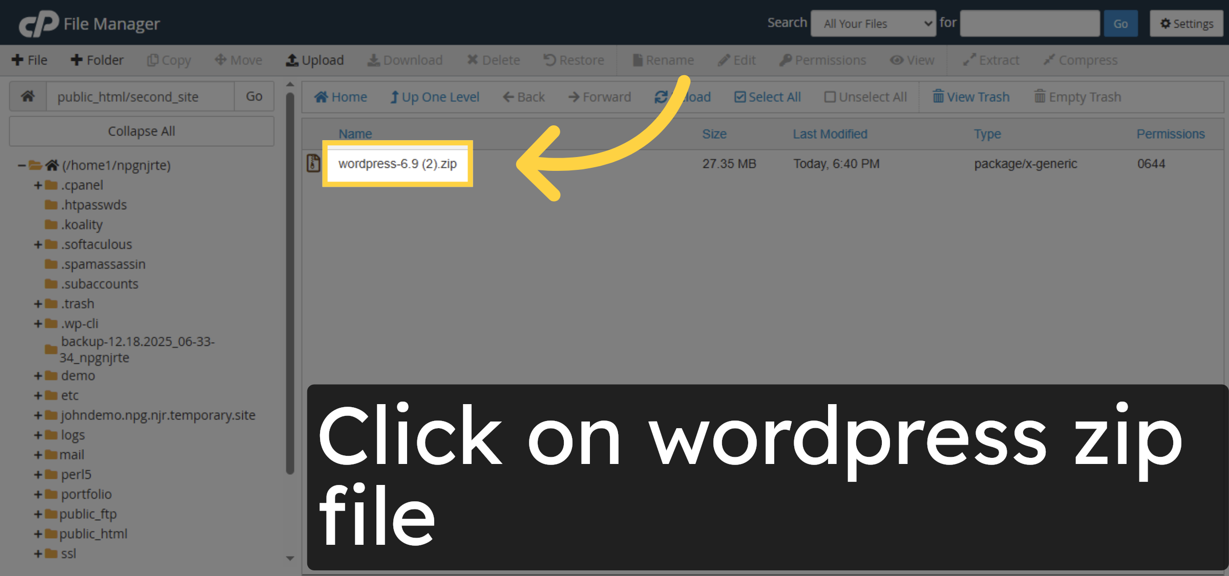 Select WordPress Zip