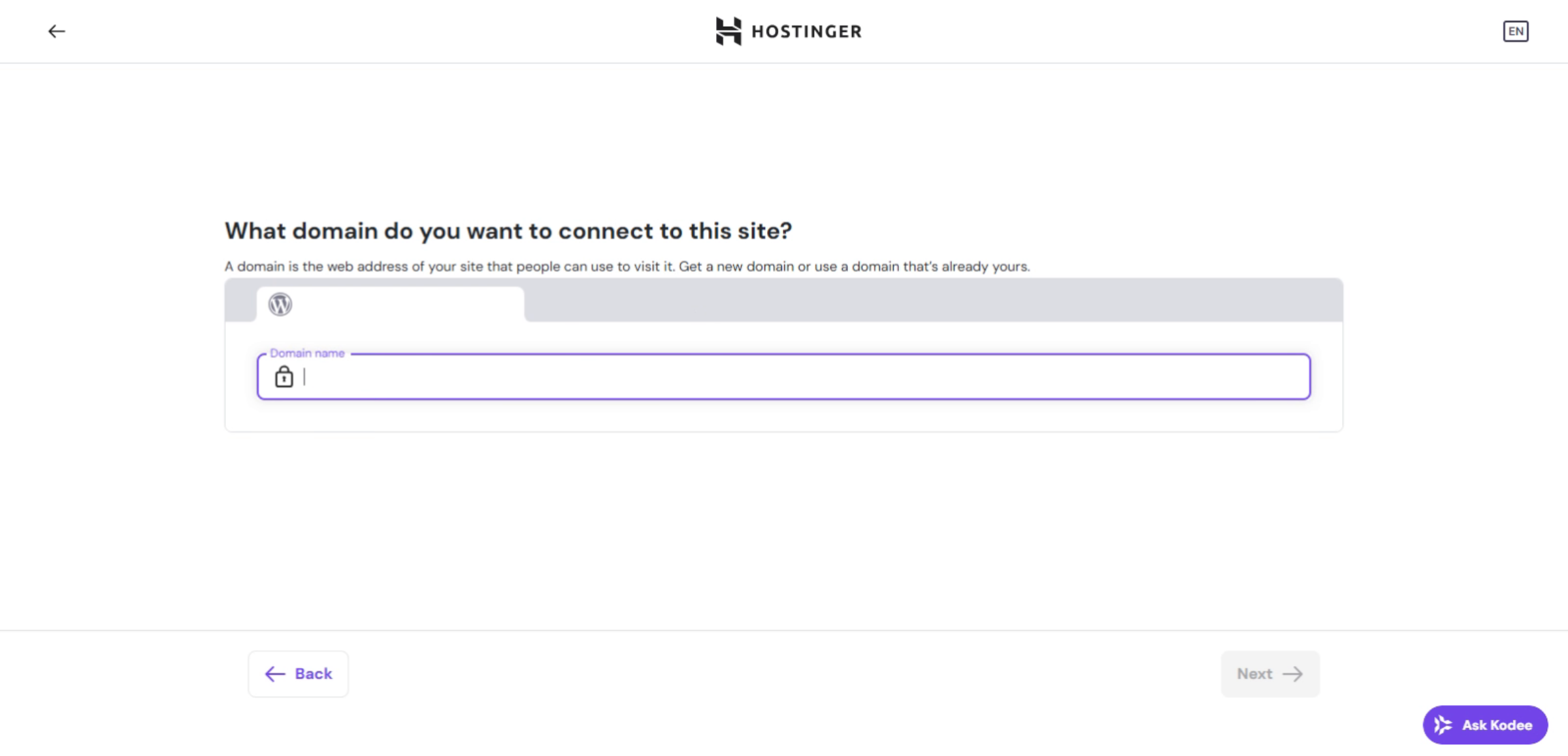 Enter Your Domain Name