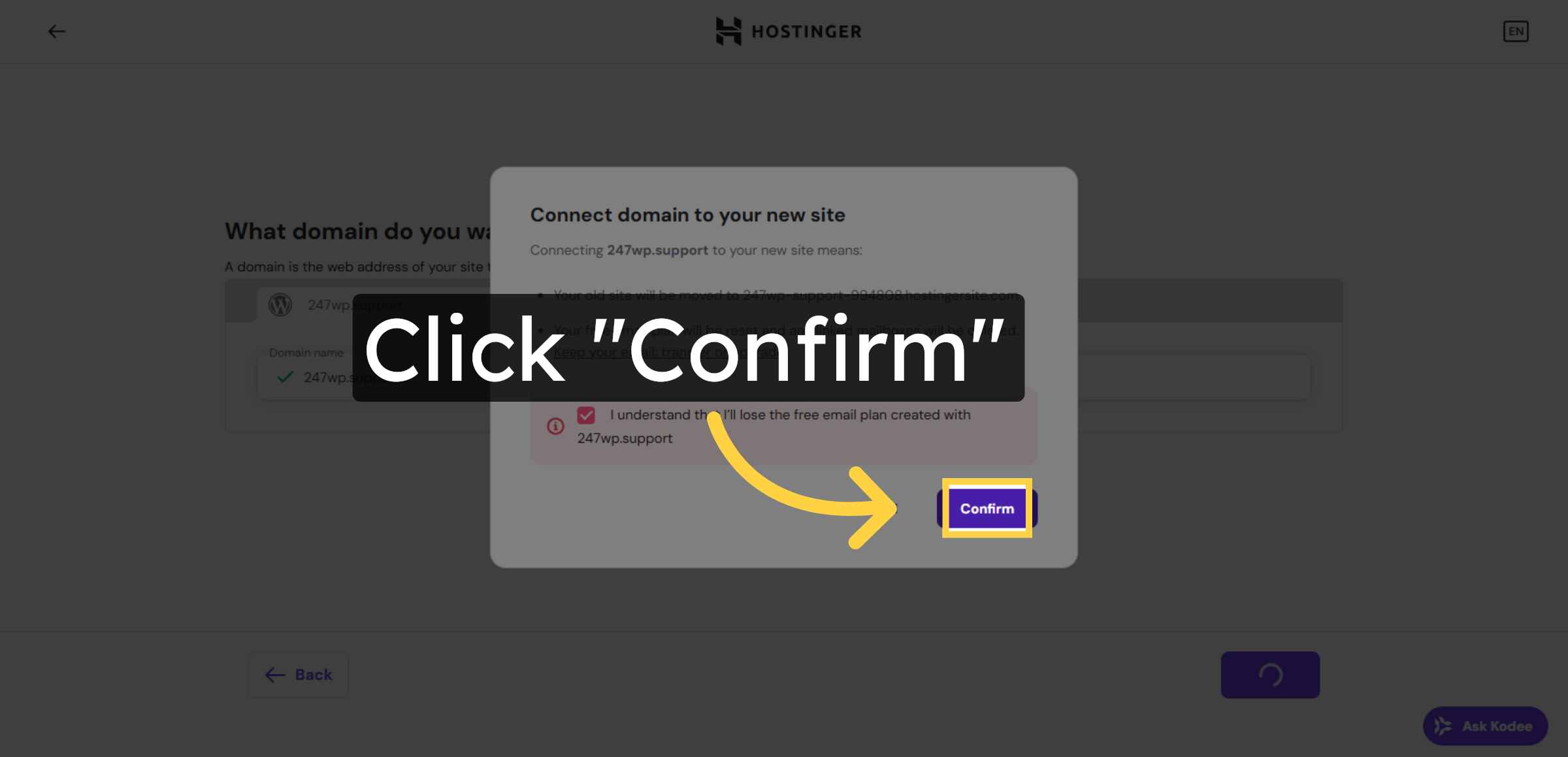Confirm Domain Connection
