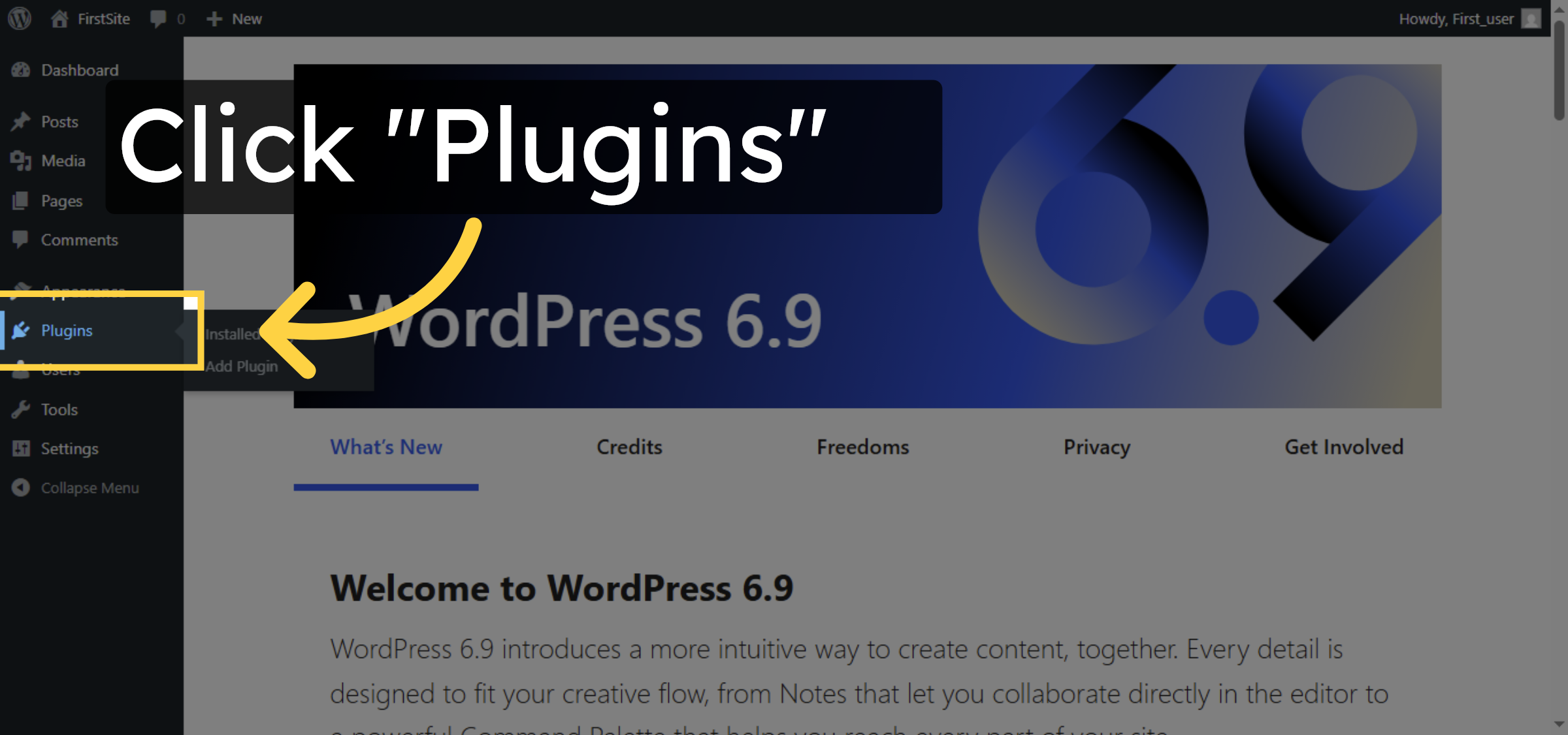 Access Plugins Menu