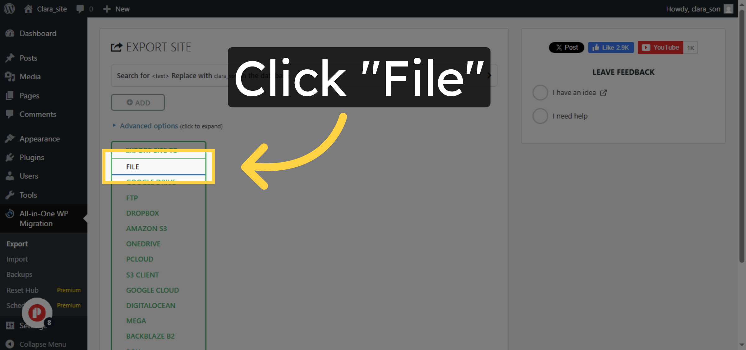 Select Export File Option