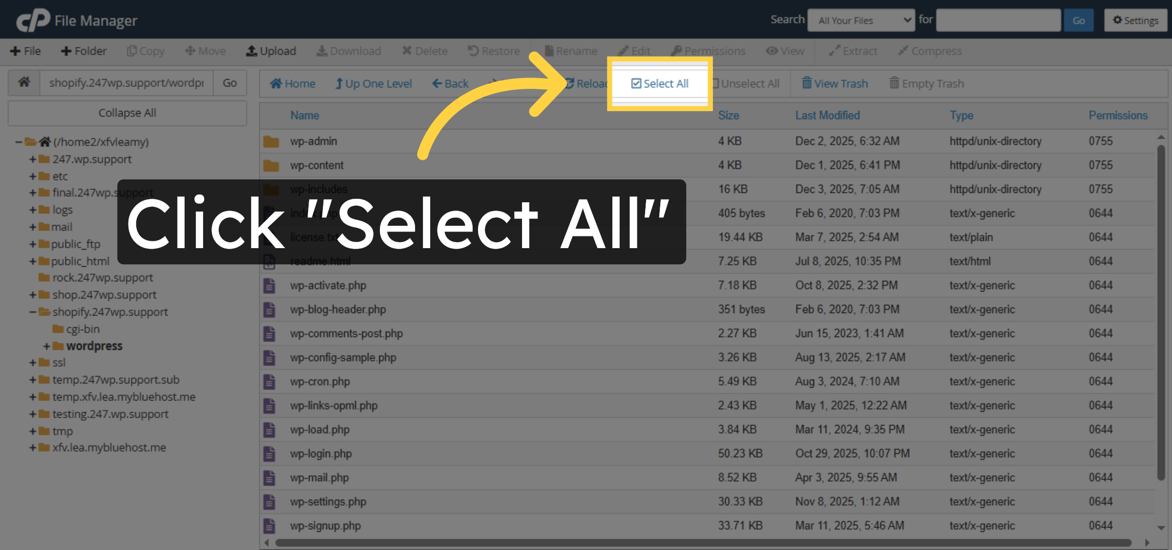 Select All WordPress Files