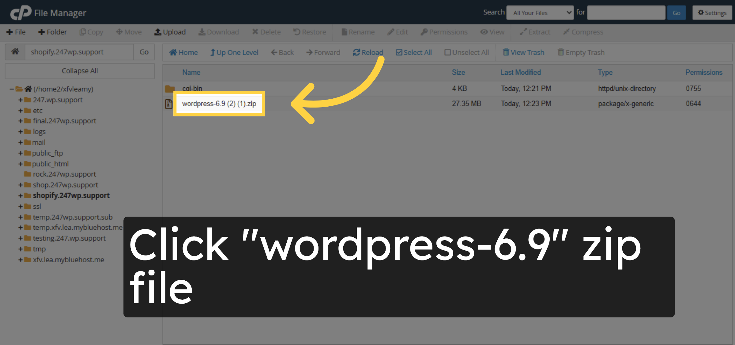 Select WordPress Zip
