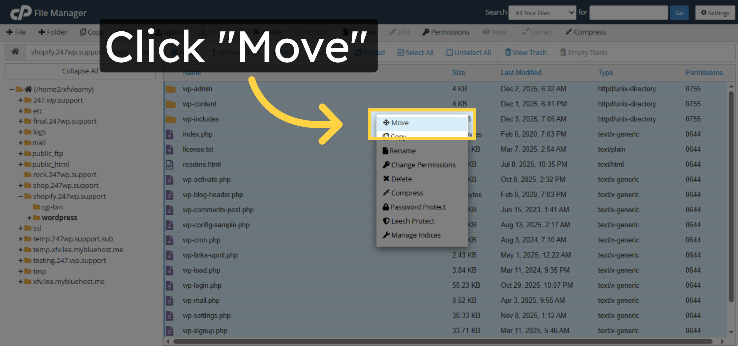 Move WordPress Files