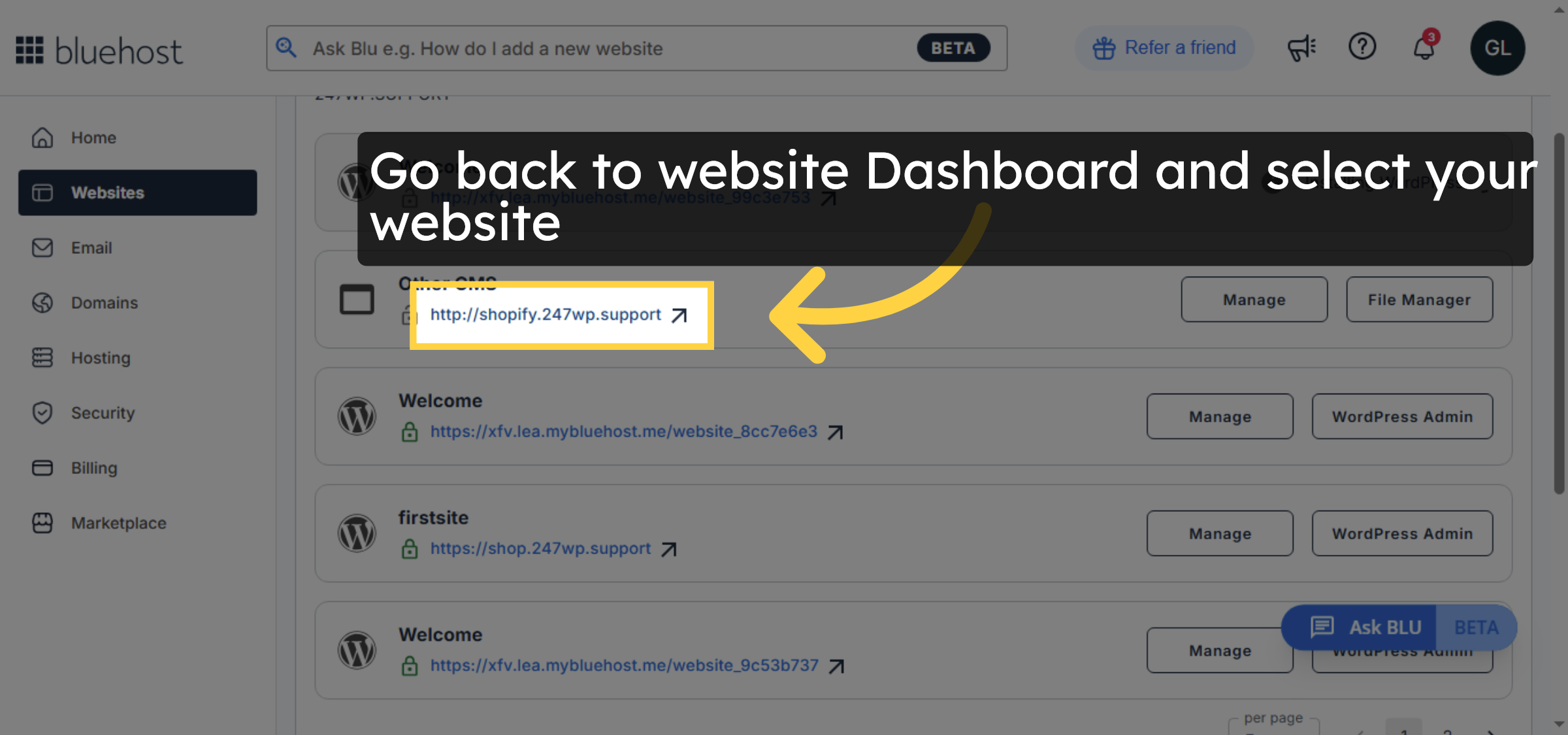 Open Subdomain URL Again