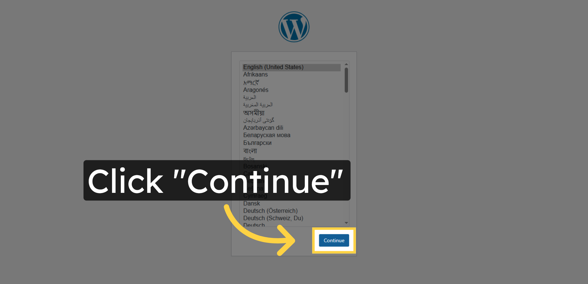 Click Continue Installation