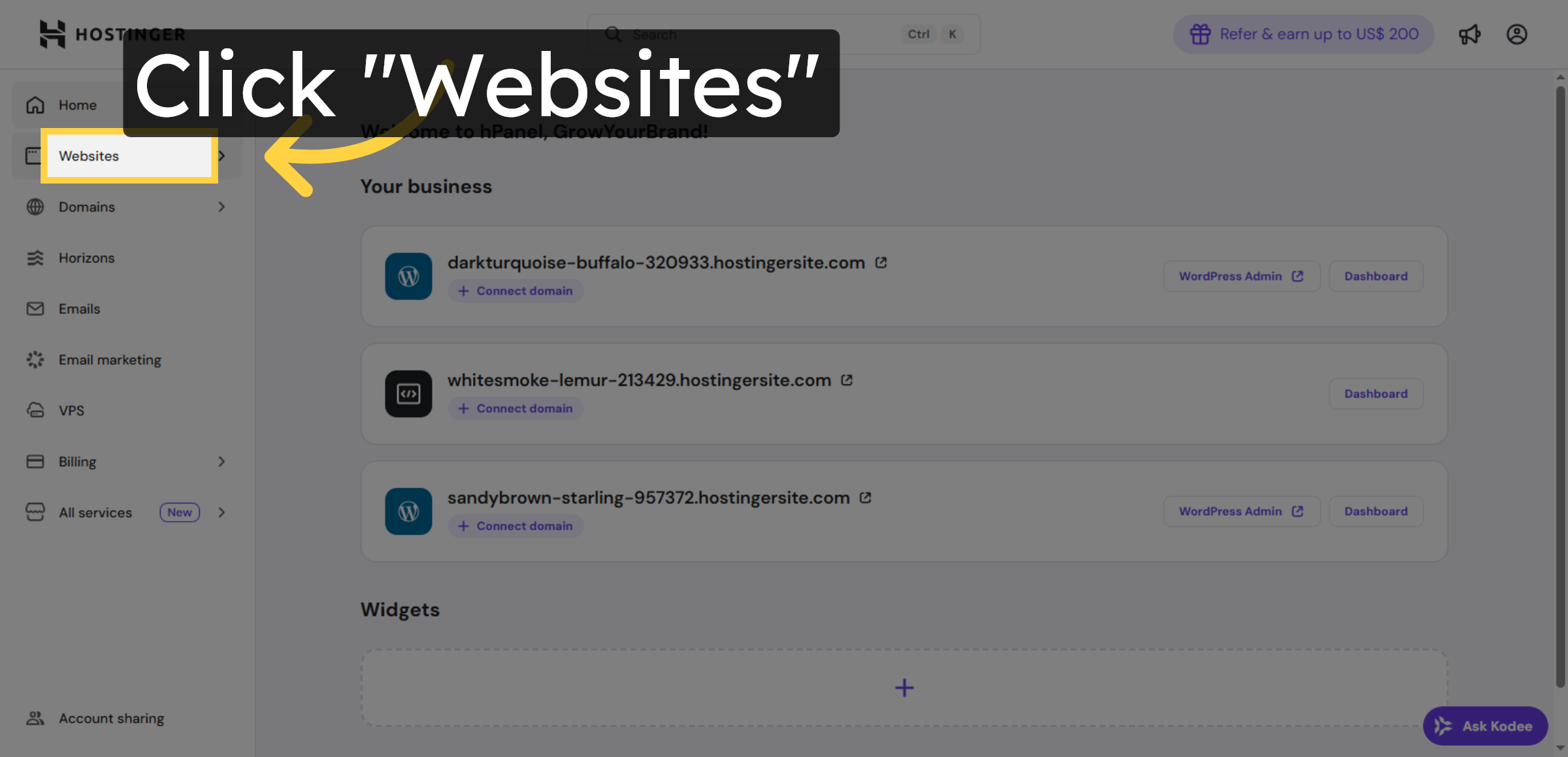 Navigate to Websites Section