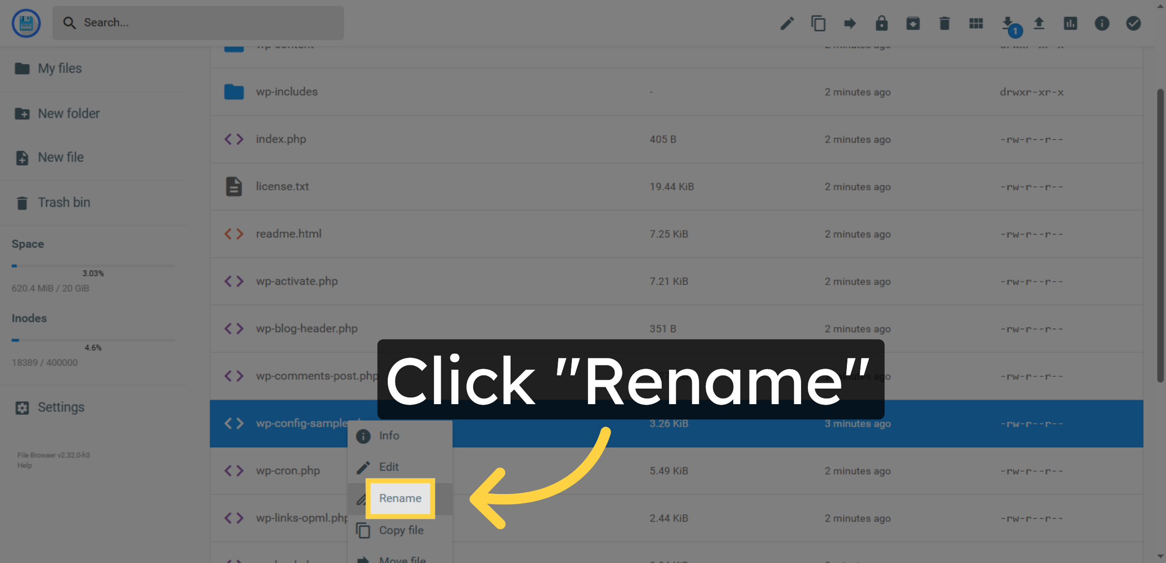 Choose Rename Option