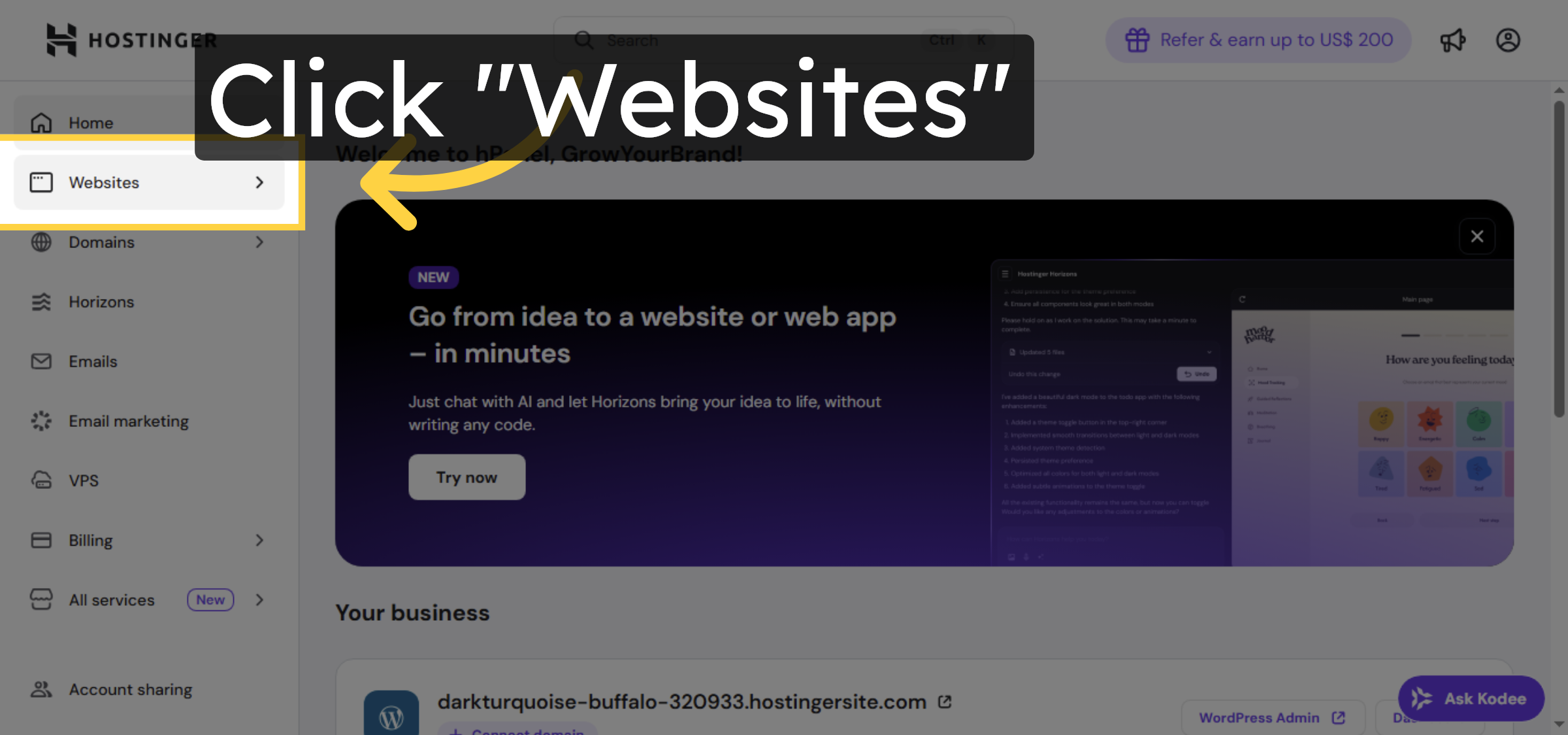 Navigate to Websites Section