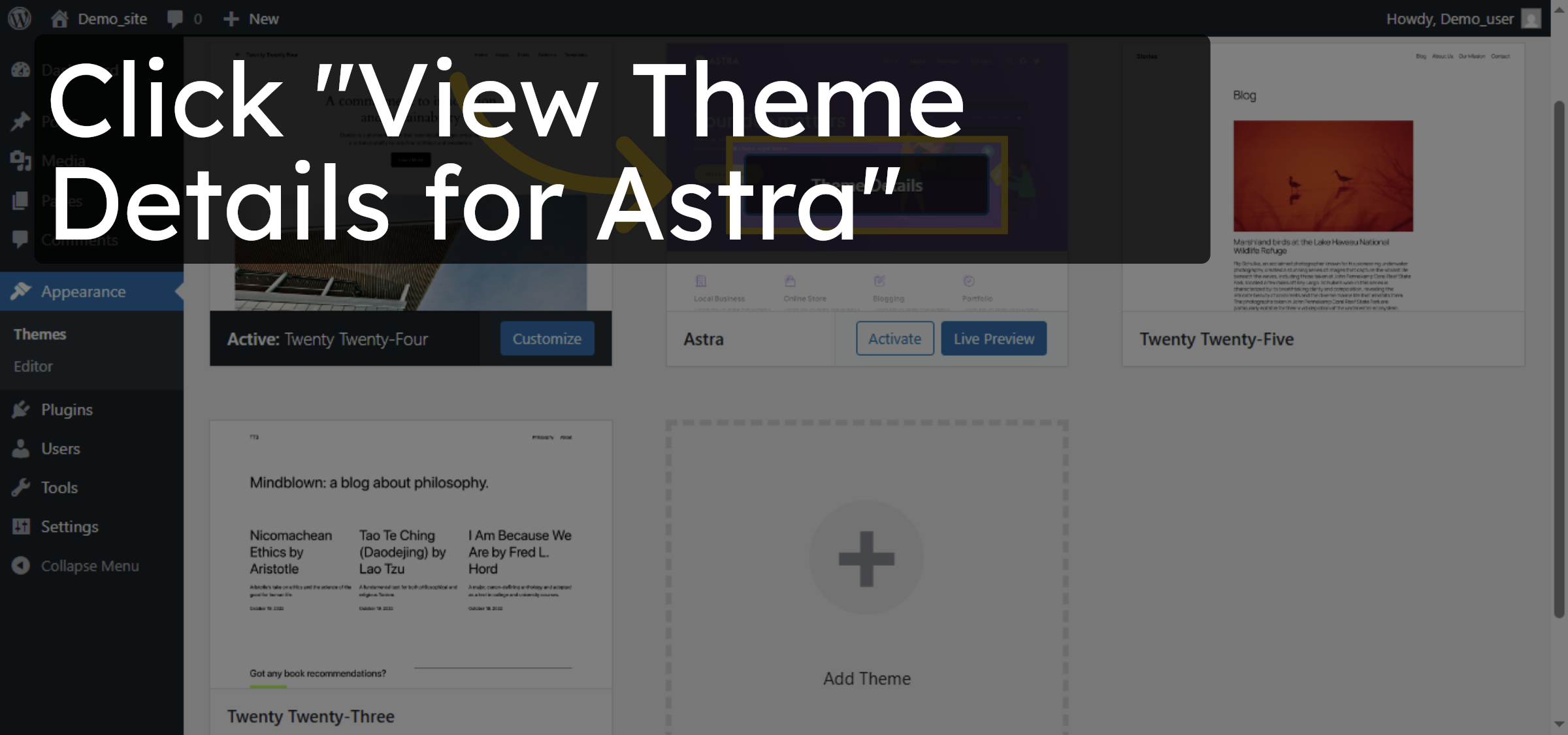 Delete unecessary themes.