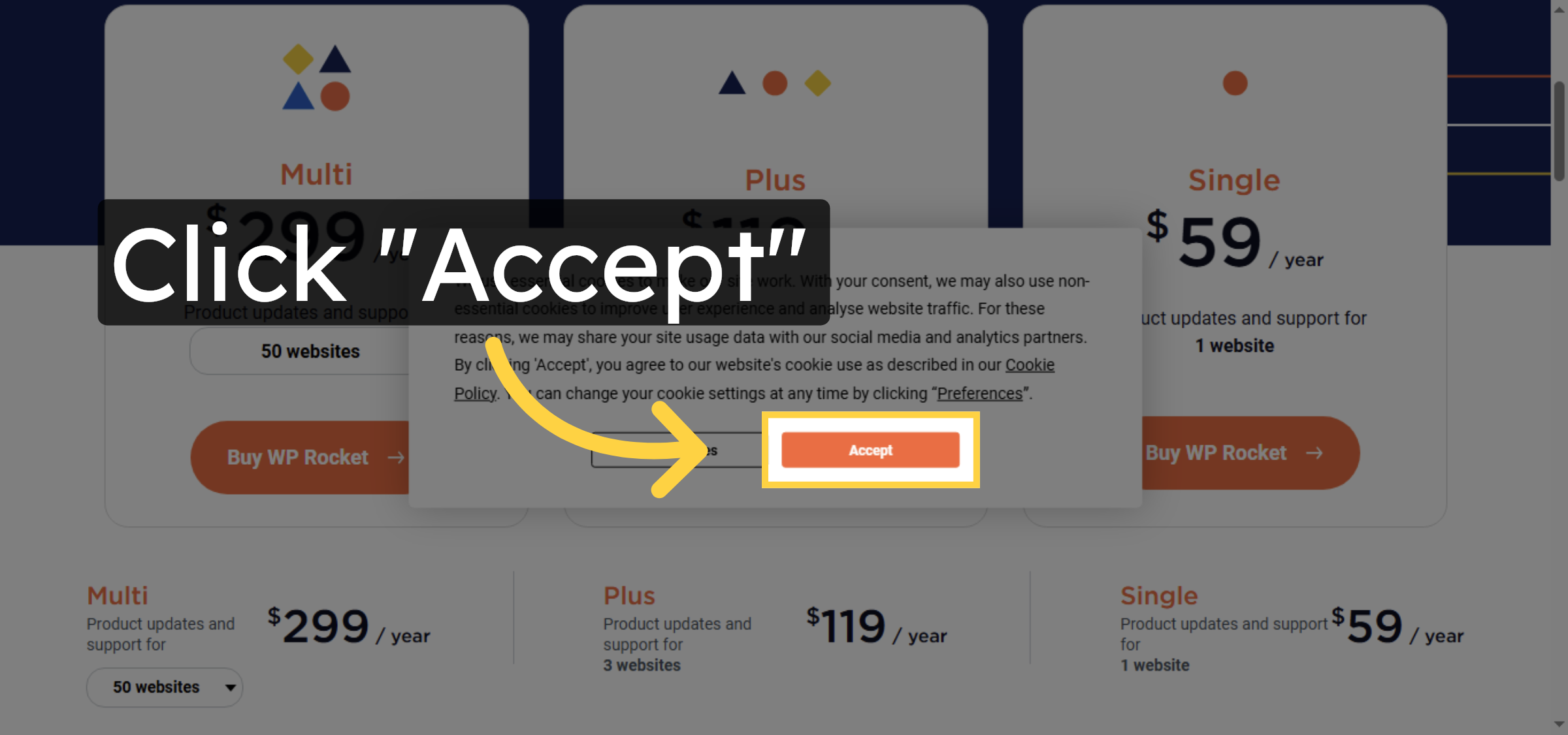 Accept WP Rocket Terms