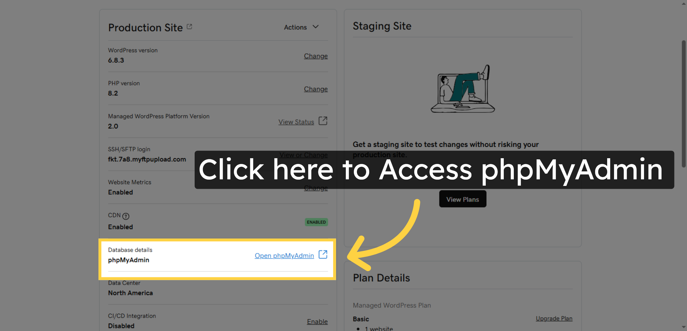 phpMyAdmin Access