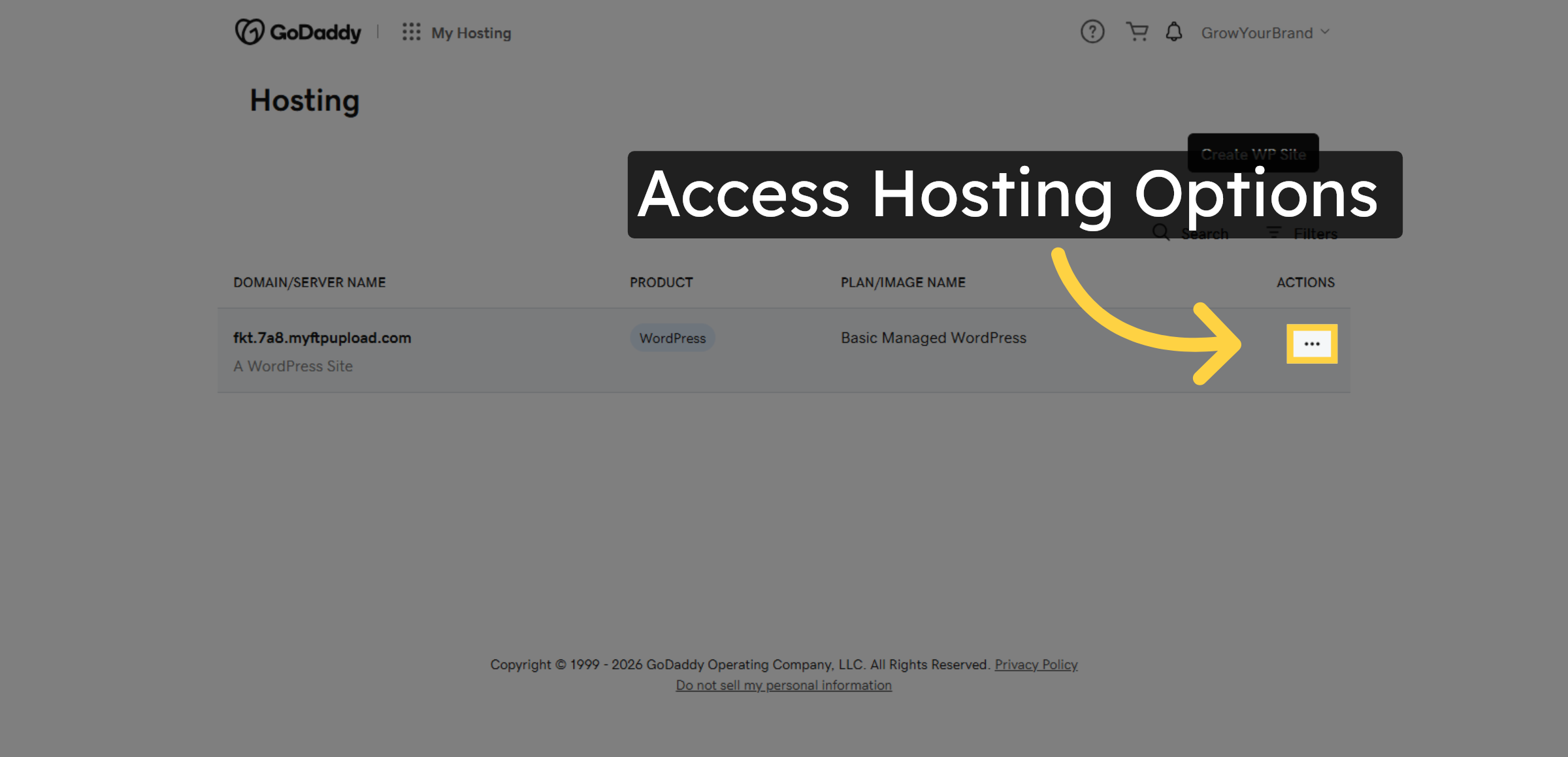 Access Hosting Options