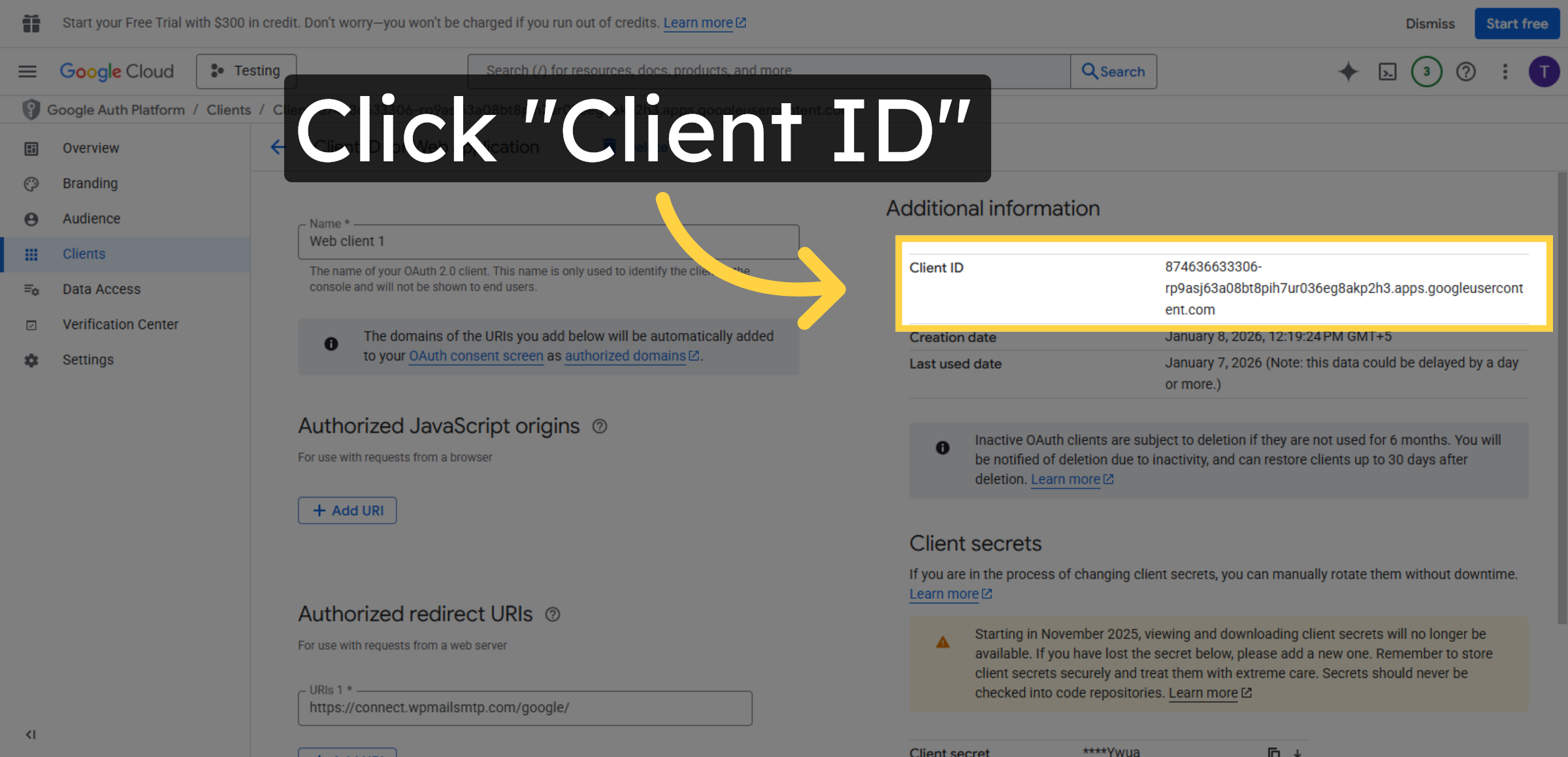  Select OAuth Client ID