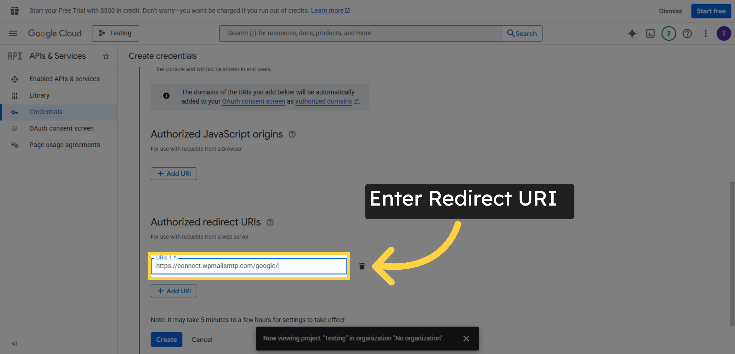 Enter Redirect URI
