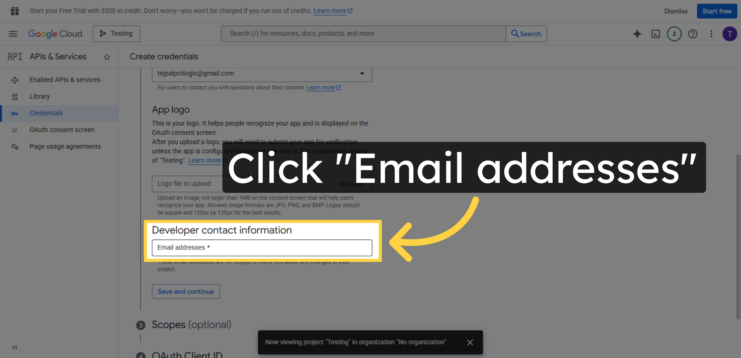 Access Email Addresses