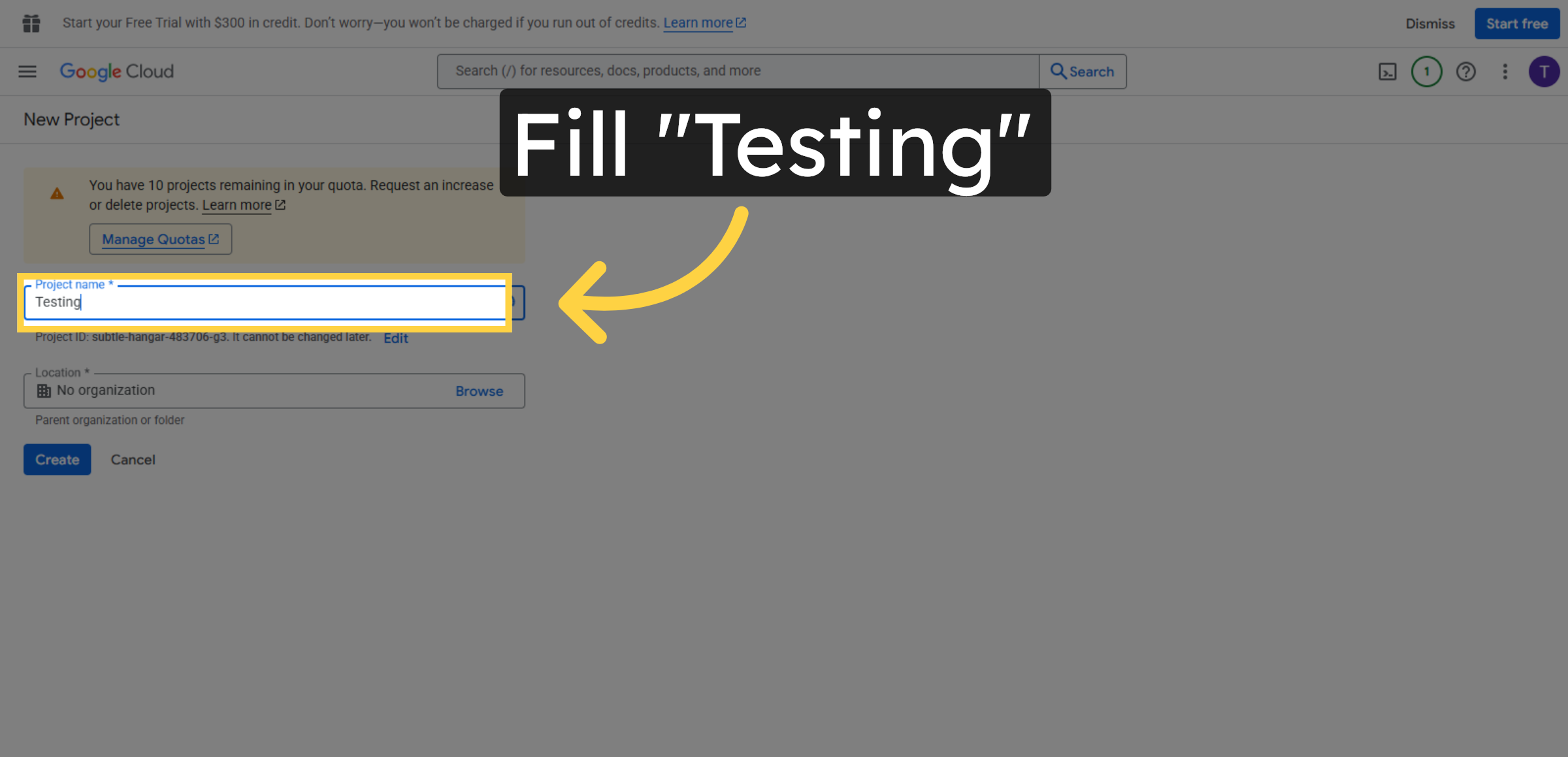 Name of the New Project