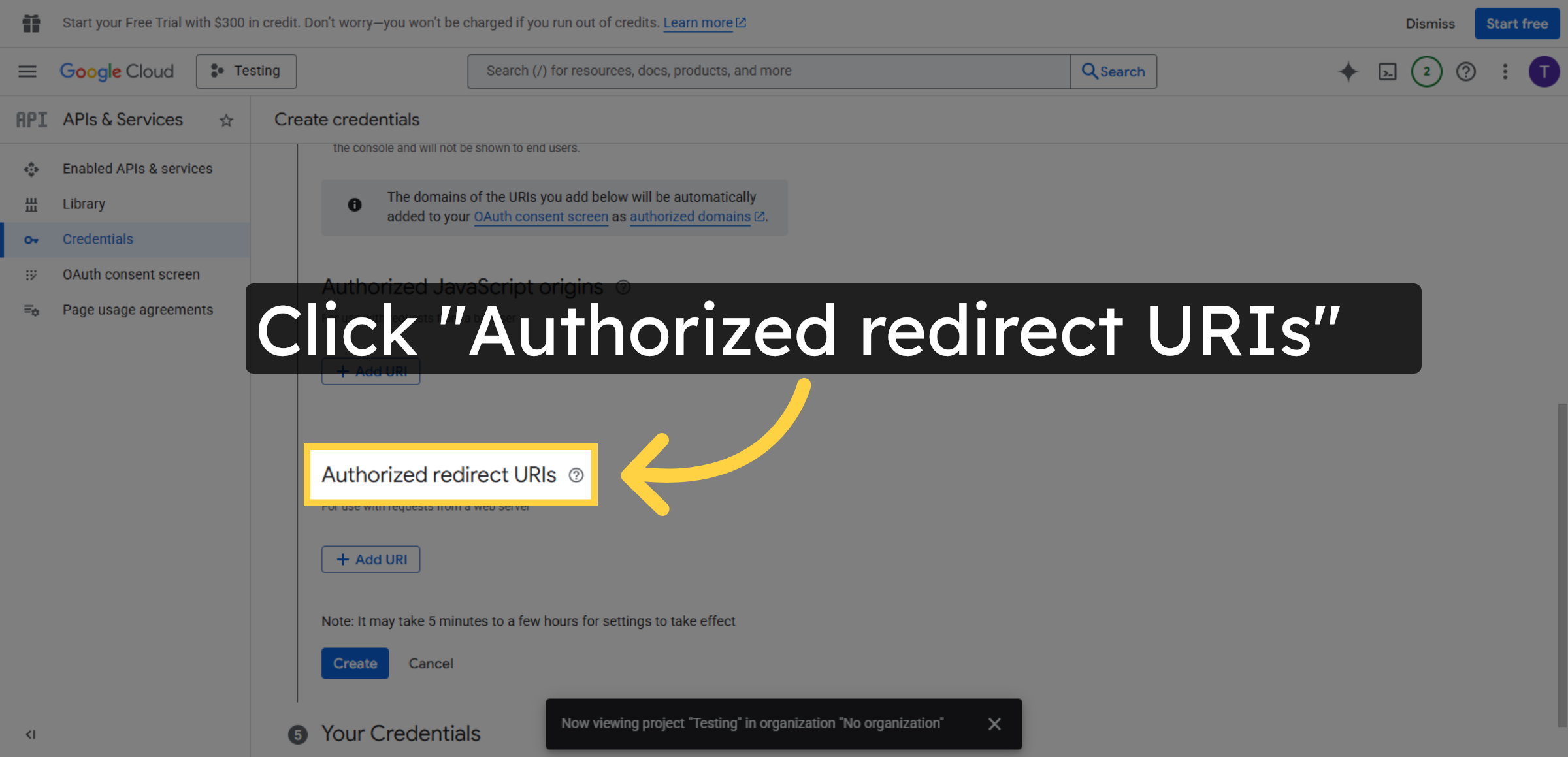 Edit Redirect URIs
