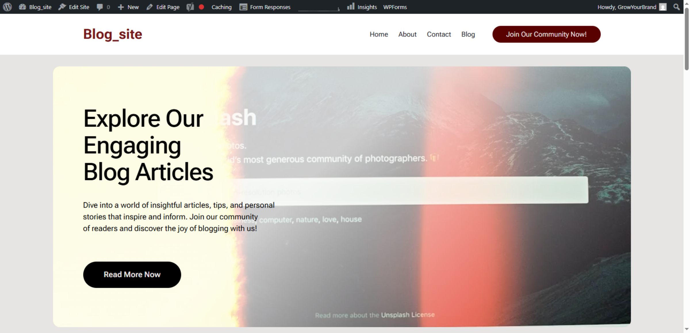 Original WordPress Website Before Import