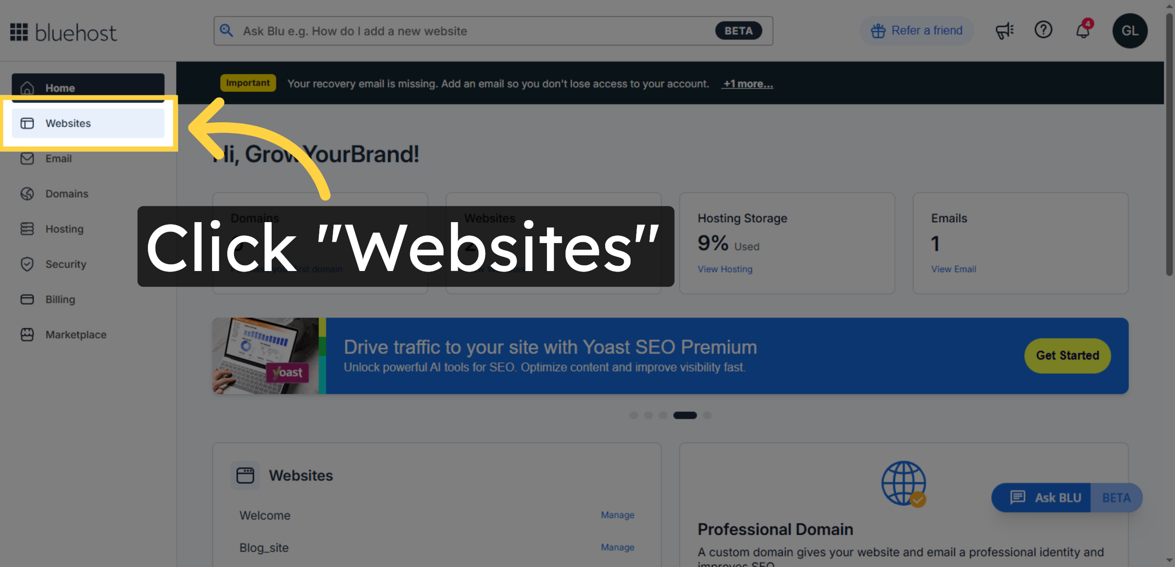 Open Websites Section
