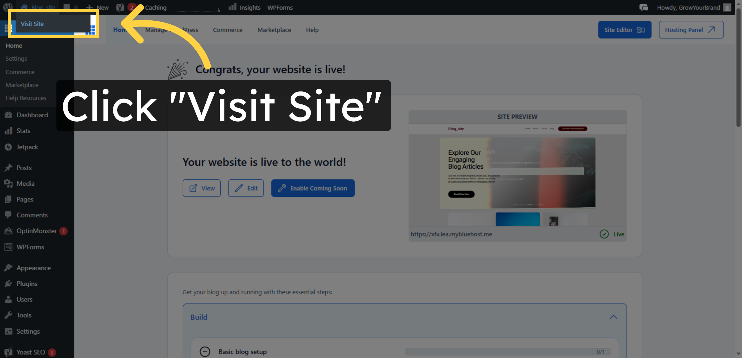 Visit Your WordPress Site