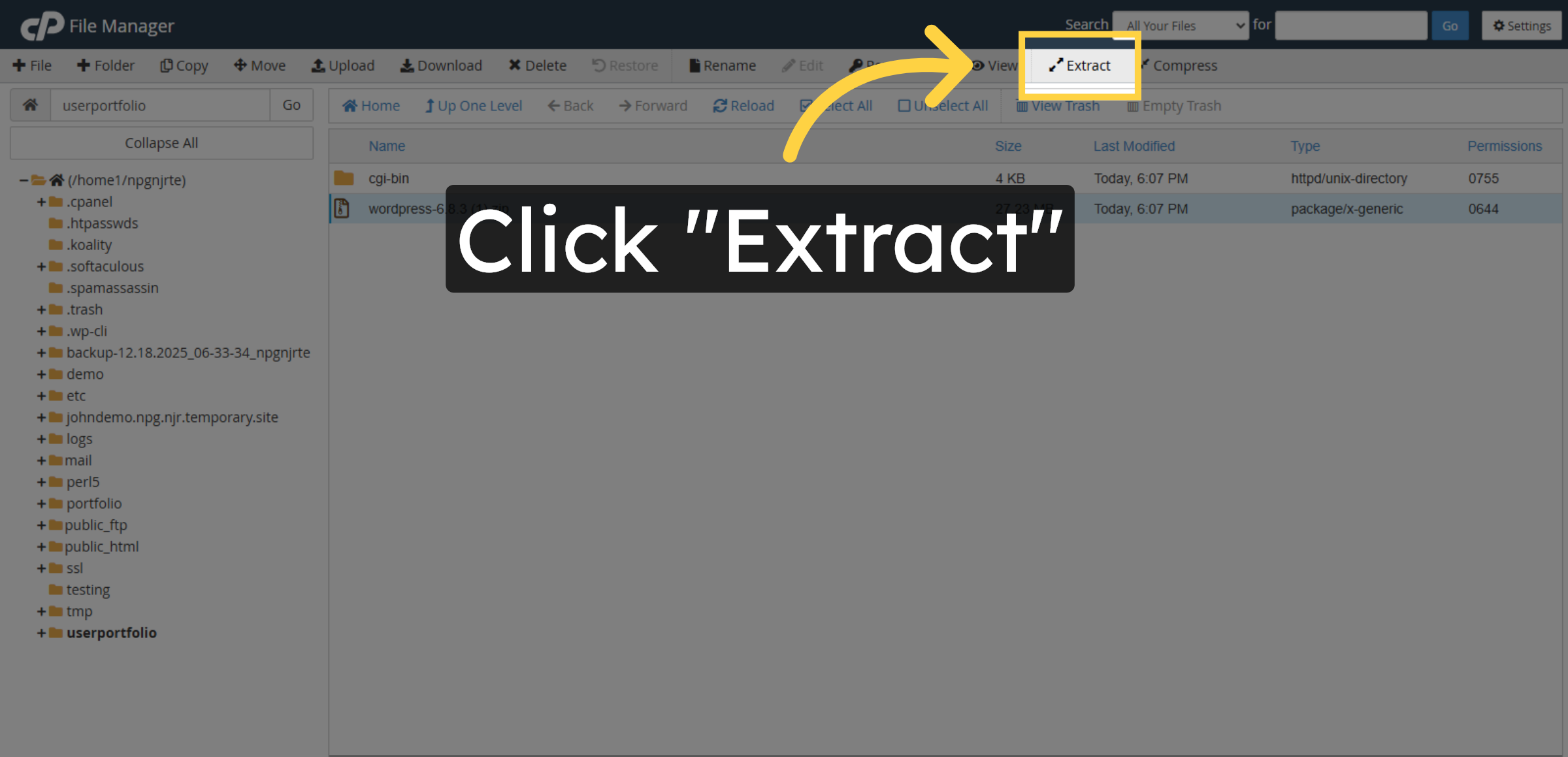 Extract WordPress Files