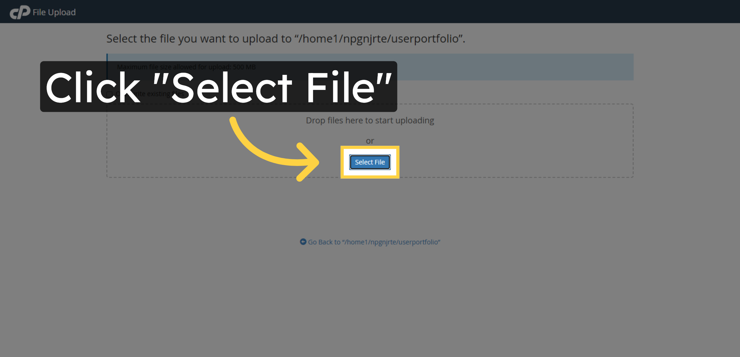 Select File To Upload