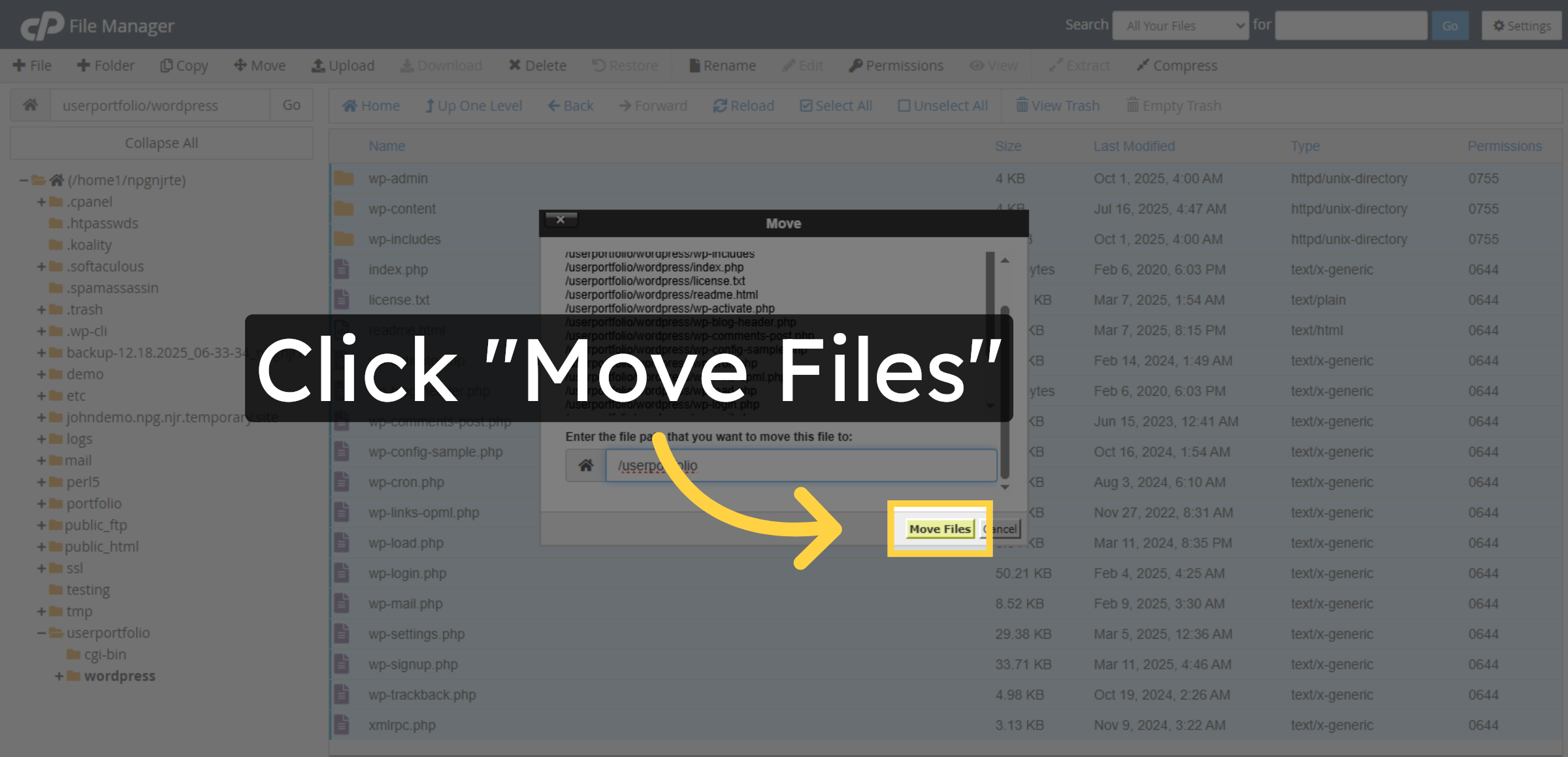 Confirm File Move