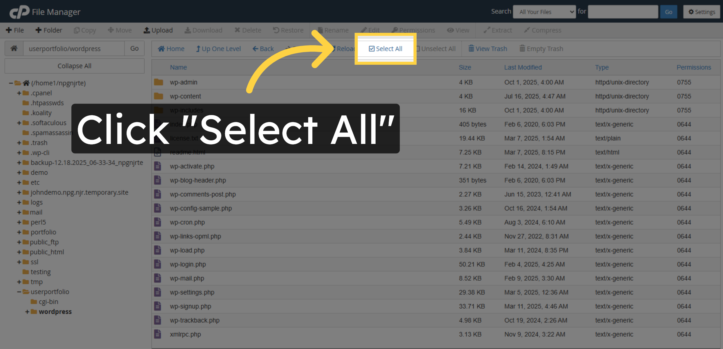 Select All WordPress Files